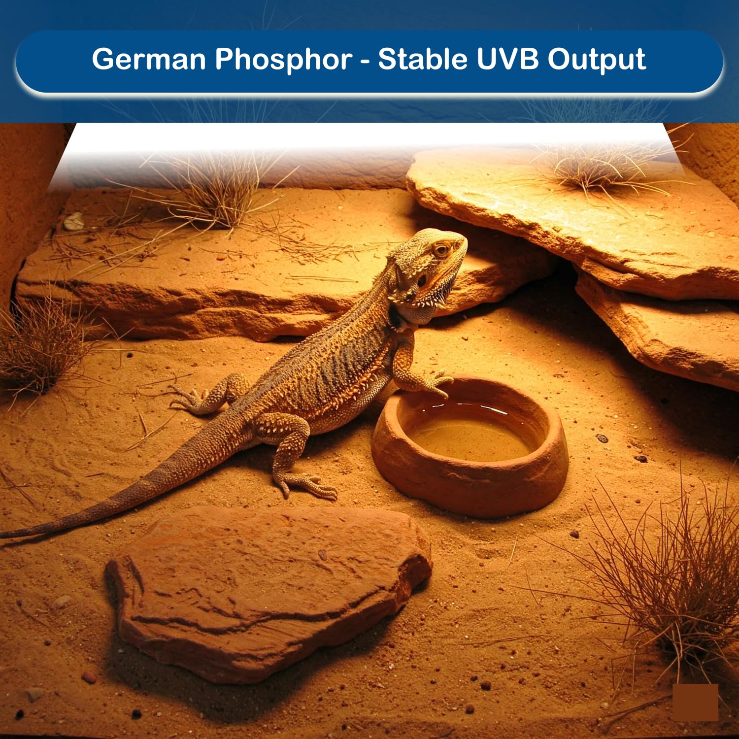 T5 UVB Reptile Light Bulb – 2-Pack 8W High-Output 10.0 UVB Bulbs for Bearded Dragons, Turtles & Lizards – Liner UVA/UVB Lighting for Basking & Vitamin D3 Synthesis - image 4