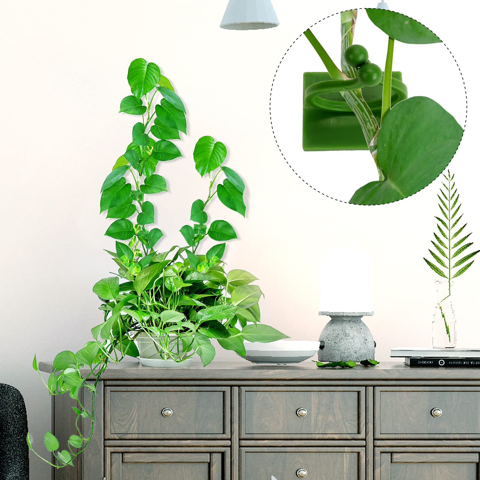 Klimplantenbevestiging, wandplantenclips voor klimplanten Klimplantenbevestiging, wandplantenclips voor klimplanten