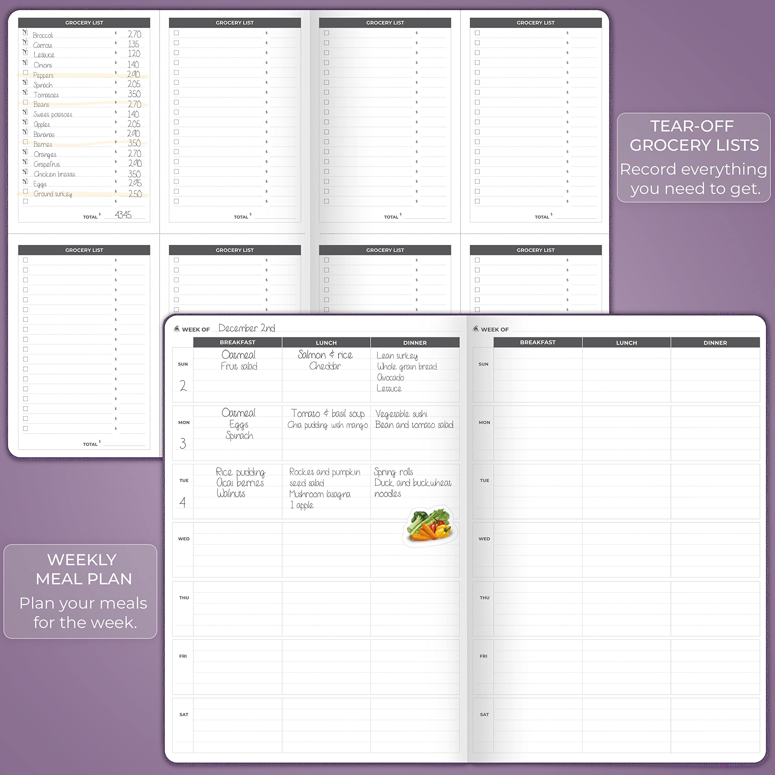 Clever Fox Fitness Journal Pro – Planificateur d'entraînement quotidien avec planificateur de repas et suivi des habitudes, carnet de notes d'exercice pour homme et femme, dure 6 mois, 18 x 25,5 cm