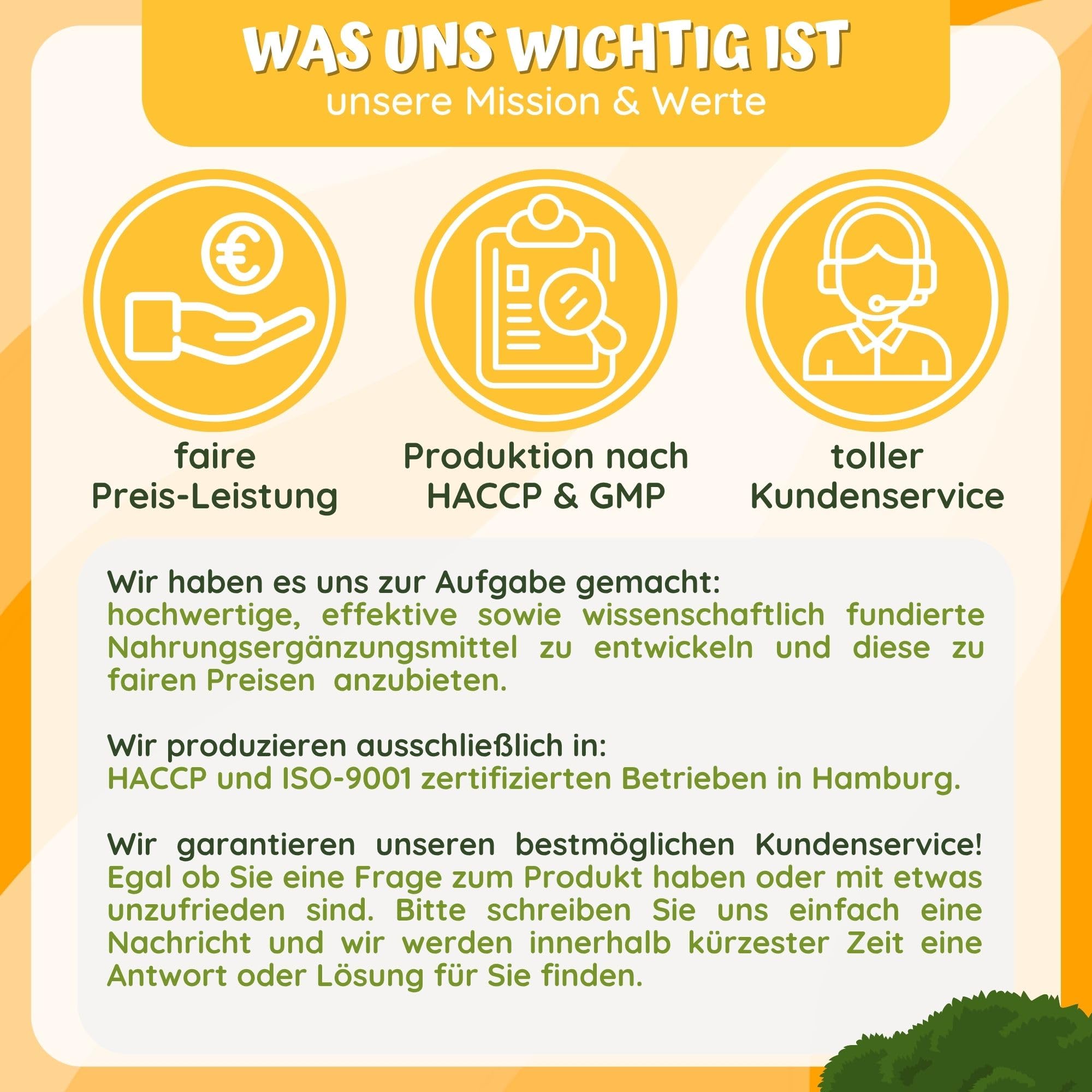 Johanniskraut-Kapseln - 10000mg Johanniskraut hochdosiert aus 10:1 Extrakt (2 Kapseln) + GABA + L-Tryptophan - 4 Monatsvorrat - pflanzlicher Stimmungsaufheller hochdosiert von loodus®
