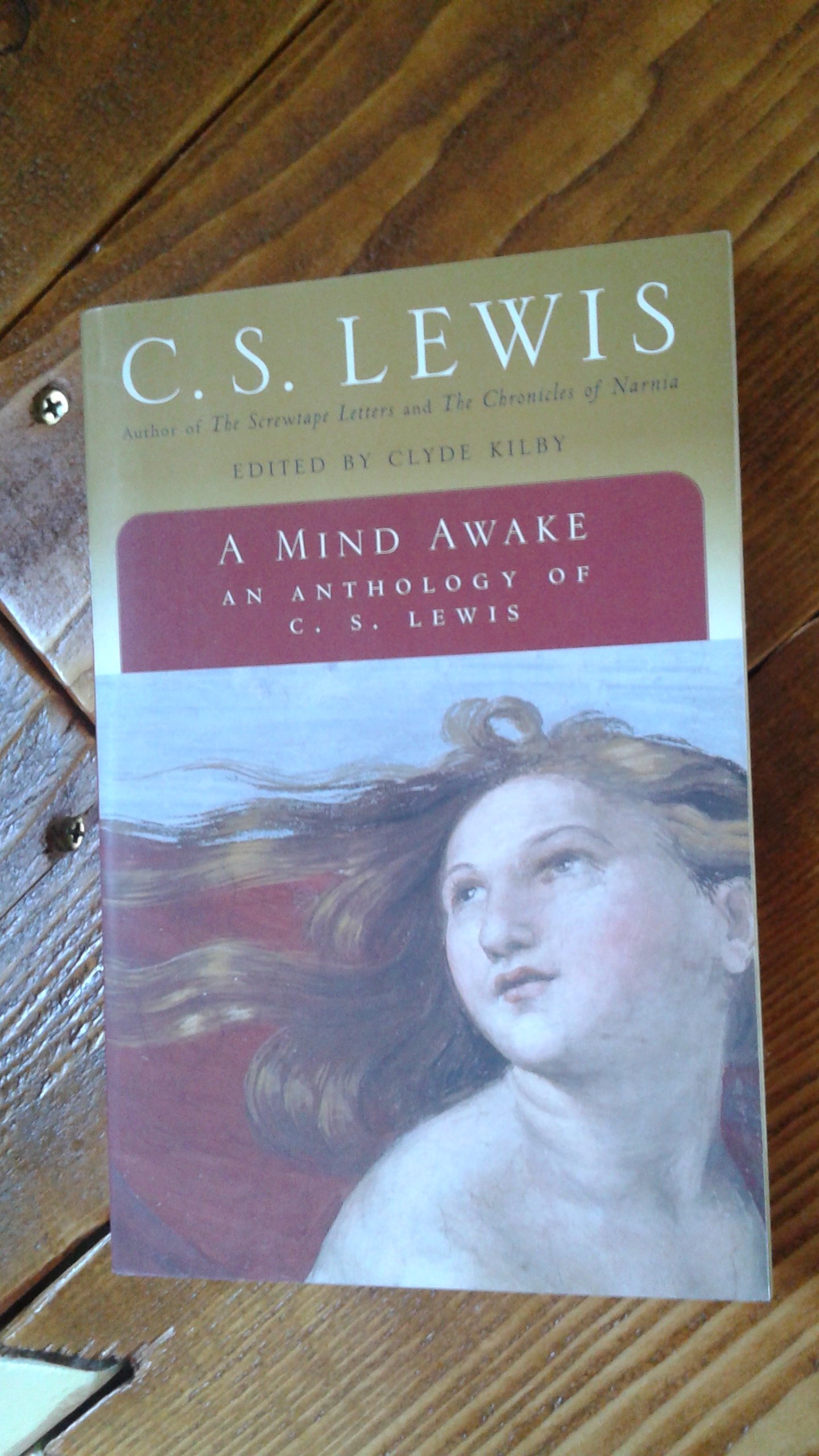 A Mind Awake