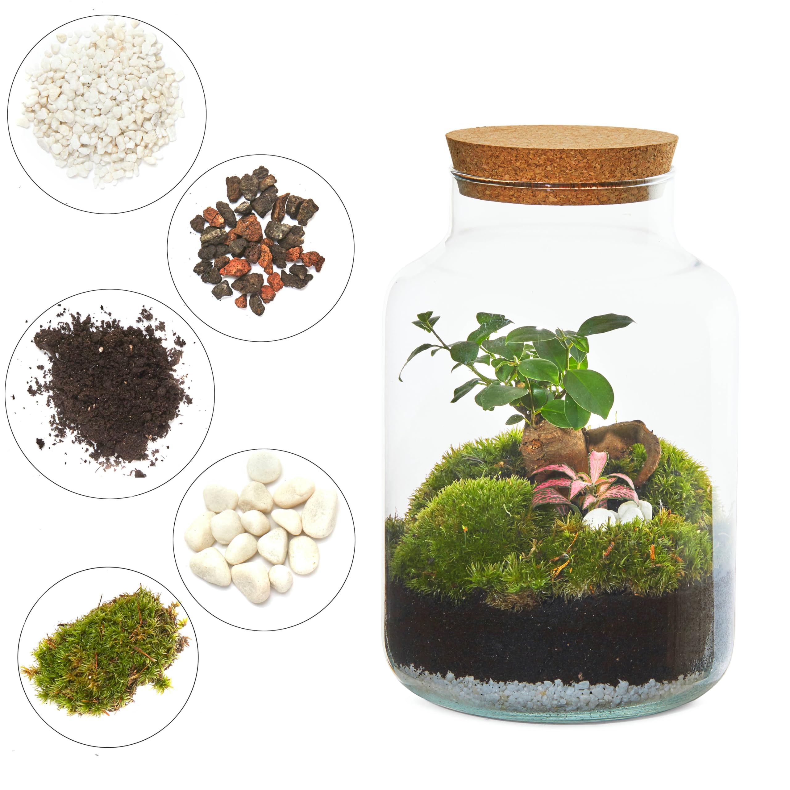 Terrariums en verre démontable avec cuve étanche Habistat
