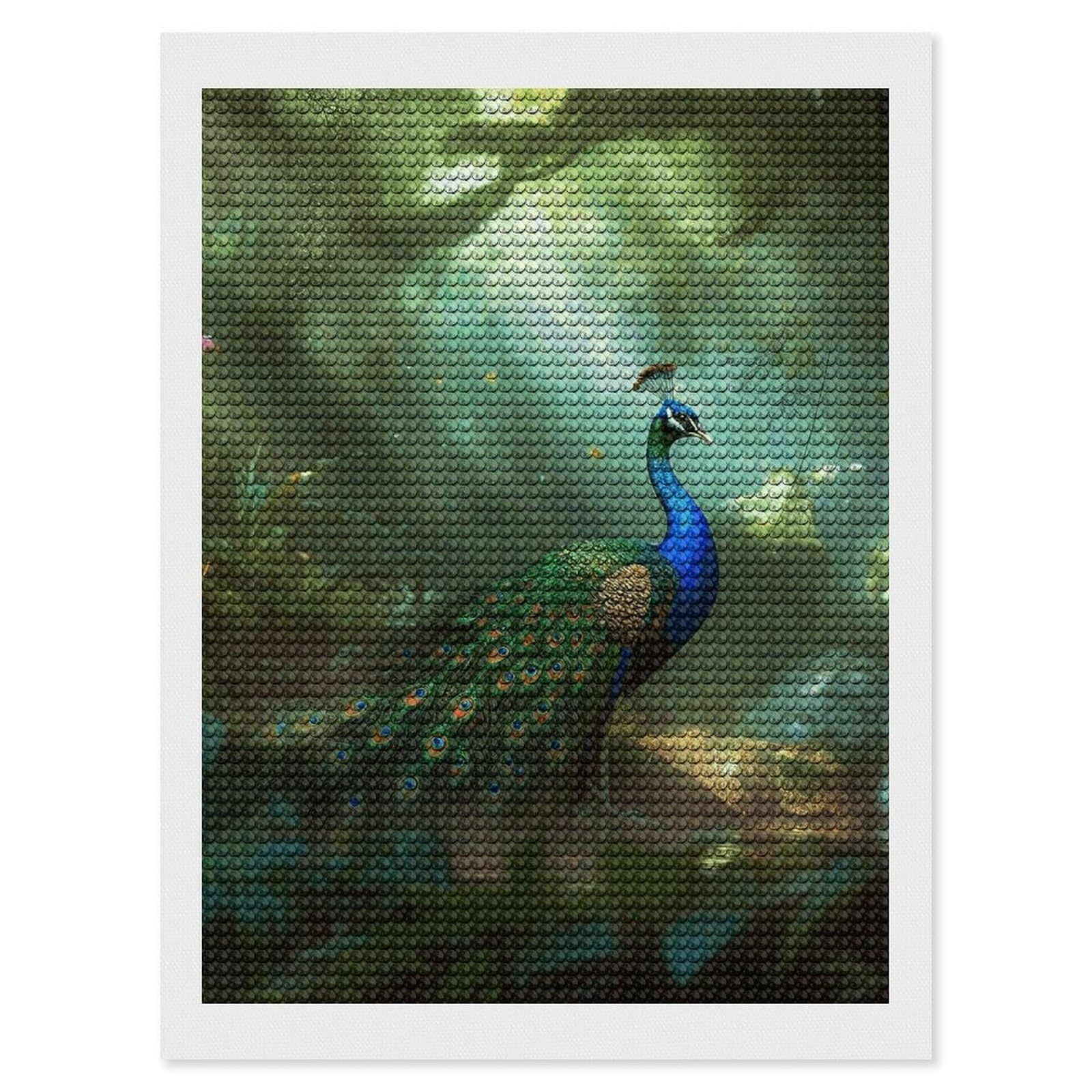 NONHAI Diamond Painting Kits for Adults - DIY Diamond Art Kits for Beginners - Full 5D Paint Drill Diamond Dots Paintings- Peacock Diamonds Pictures Gem Art and Craft Wall Decor 12"x16"