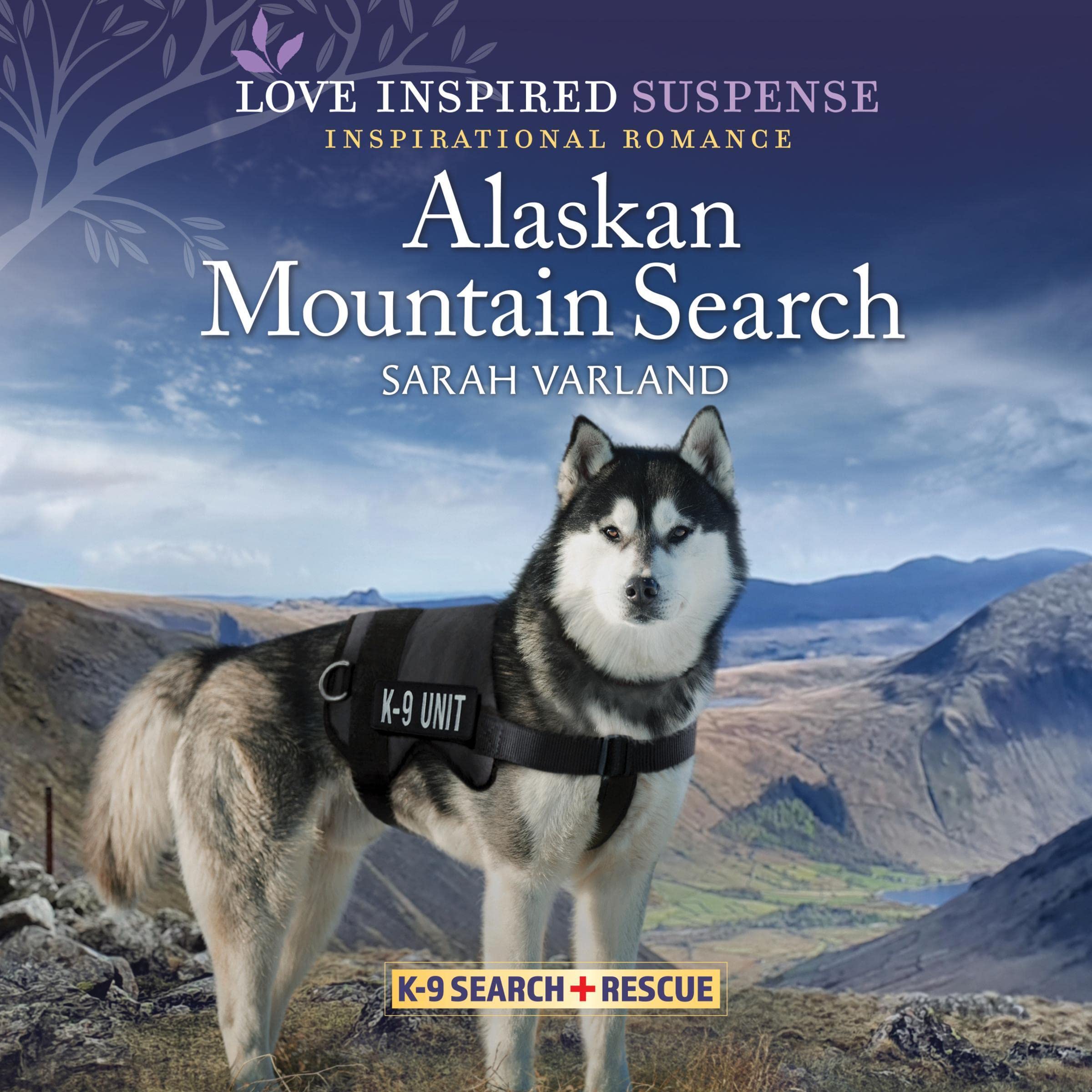 Cover art for Alaskan Mountain Search