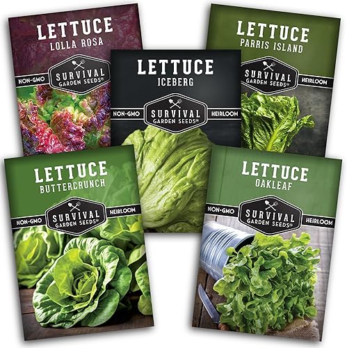 Survival Garden Seeds Bóveda de semillas de colección de lechugas de 5 lechugas, Buttercrunch, Oakleaf, Lolla Rosa, Parris Island, Iceberg, semillas