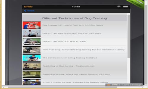 How to care for your dog from puppy to adult