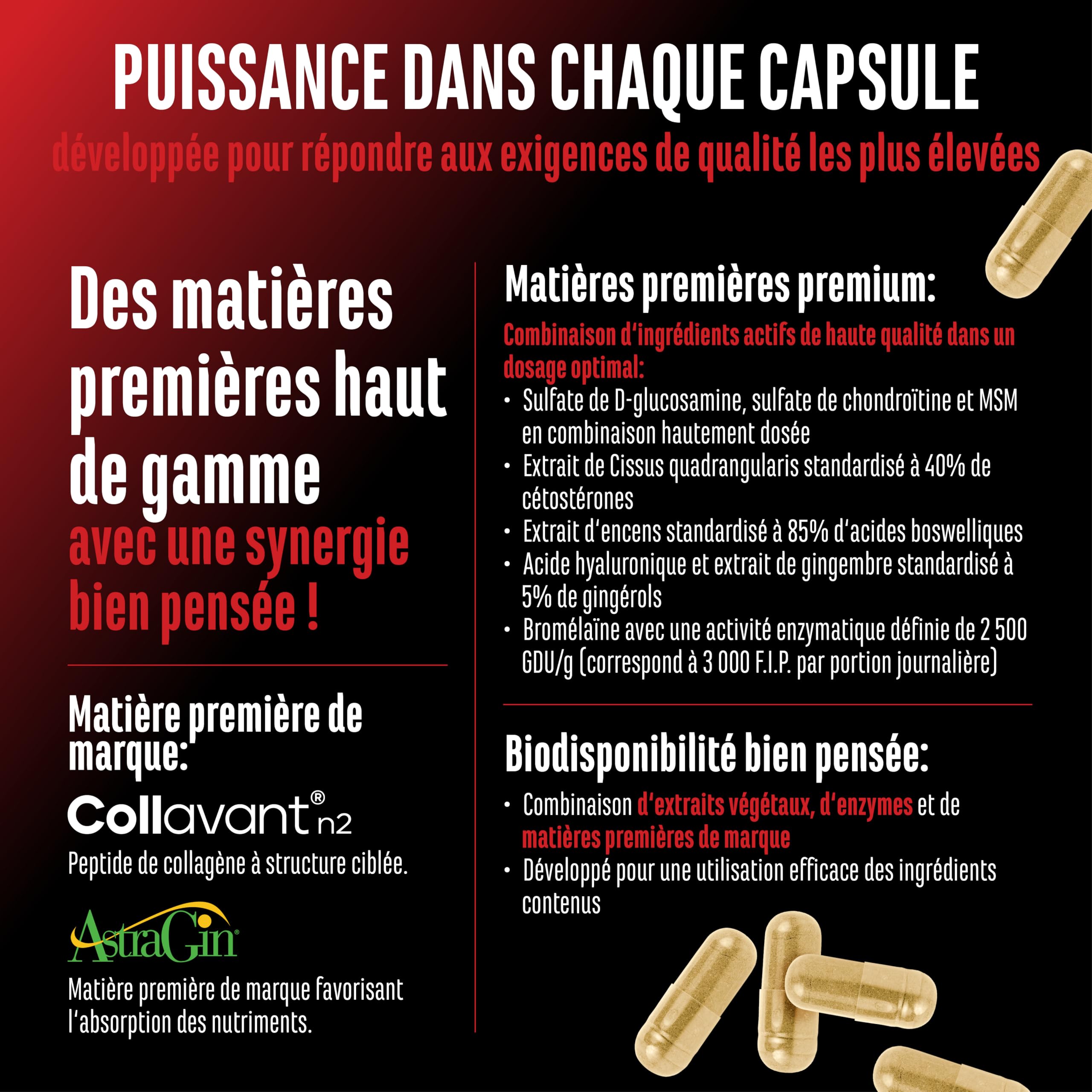 Bone Force - Complexe Articulaire Premium avec Collavant® N2 (Collagène de Type II), AstraGin®, Glucosamine, MSM, Chondroïtine, Cissus & Acide Hyaluronique - 180 Gélules Ultra