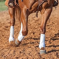 Vista 5 de Classic Equine Botas de hindú Classicfit