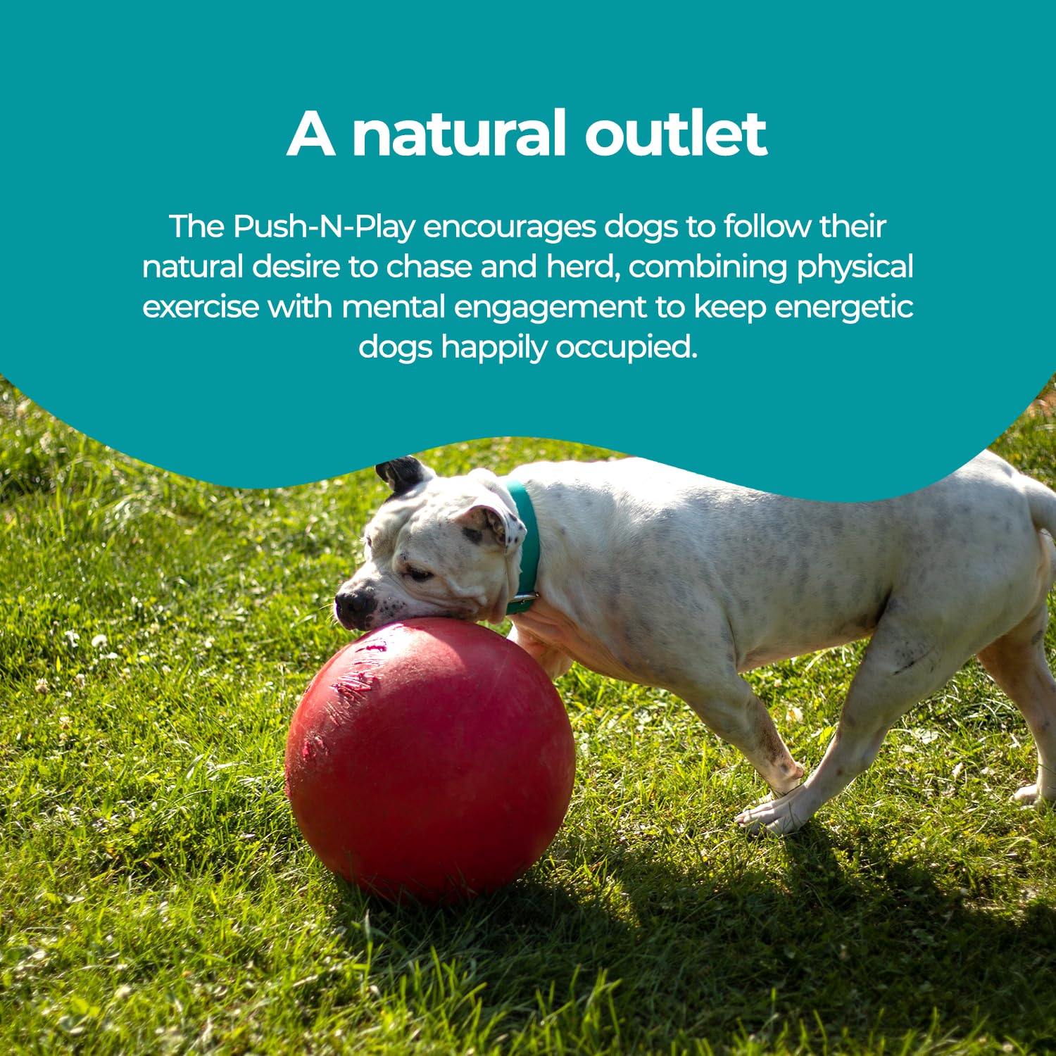 Jolly Pets JOLL070F Hundespielzeug Ball Push-n-Play, 25 cm, rot