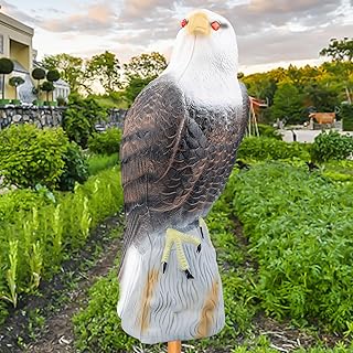 Owl Decoys to Scare Birds Squirrels Away,Garden Hawk Decoy to Scare Birds Away Deterrent,2023 Upgraded Fake Bald Eagle Decoy,Eagle Bird Deterrent Devices Outdoor,Moving Owls for Garden Yard