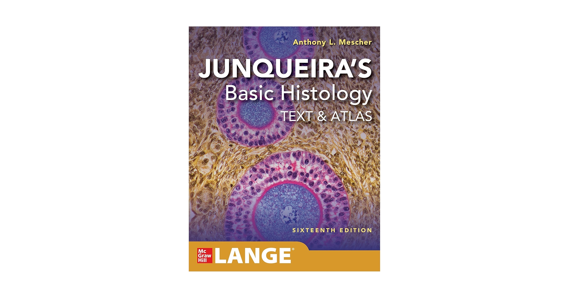健康・医学 Junqueira's Basic Histology Text & Atlas Junqueira's Basic Histology: Text and Atlas (15th Ed