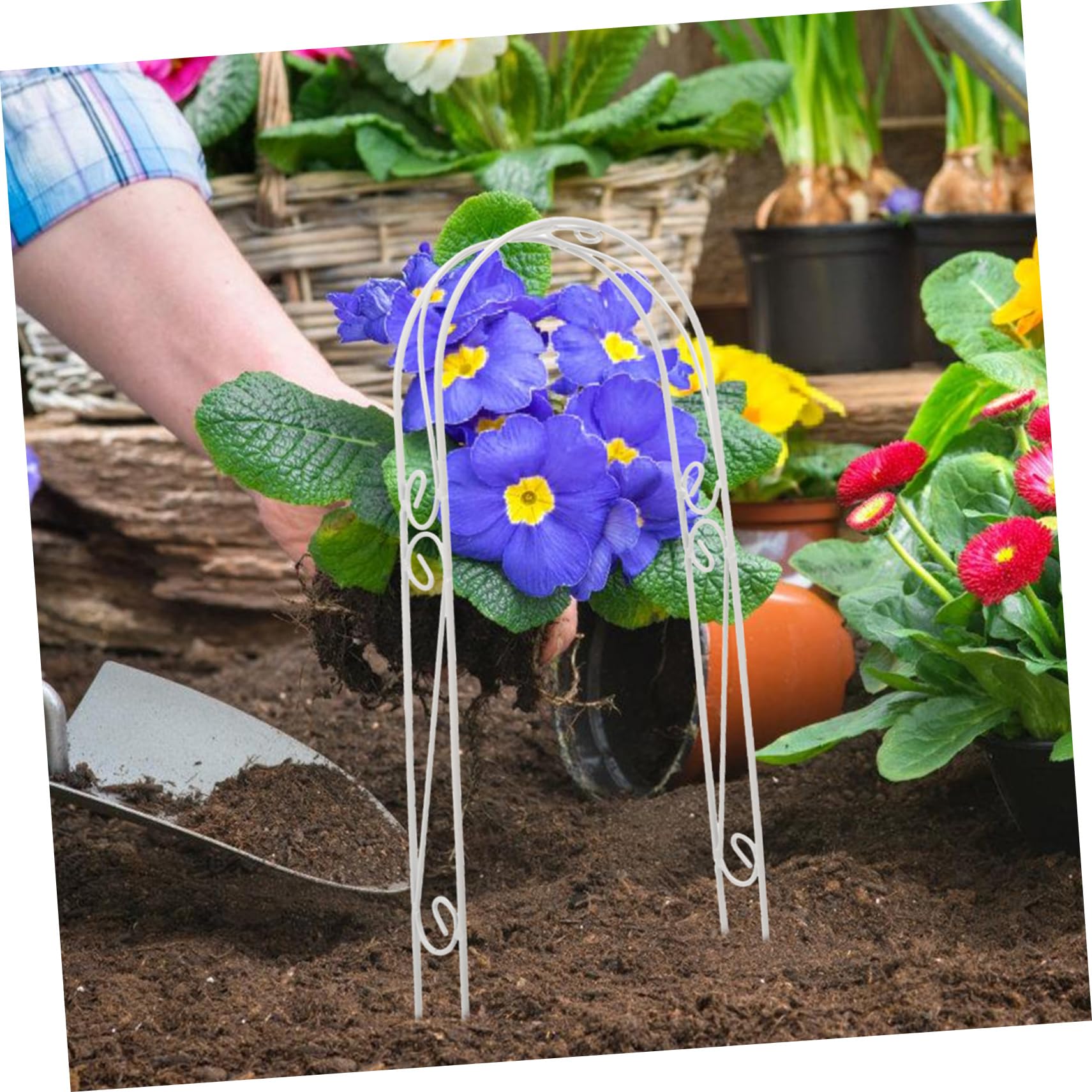 BESPORTBLE 5 Pièces Tuteurs pour Plantes d'intérieur Filets Treillis végétal Accessoire Jardinage Accessoires Jardinage Arche végétale pour Support Plante d'intérieur Poteau de Mousse Pliable