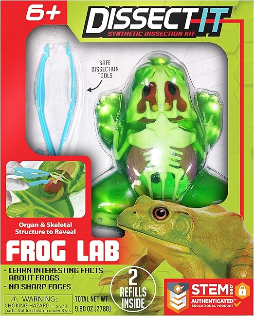 A Synthetic Frog Dissection kit