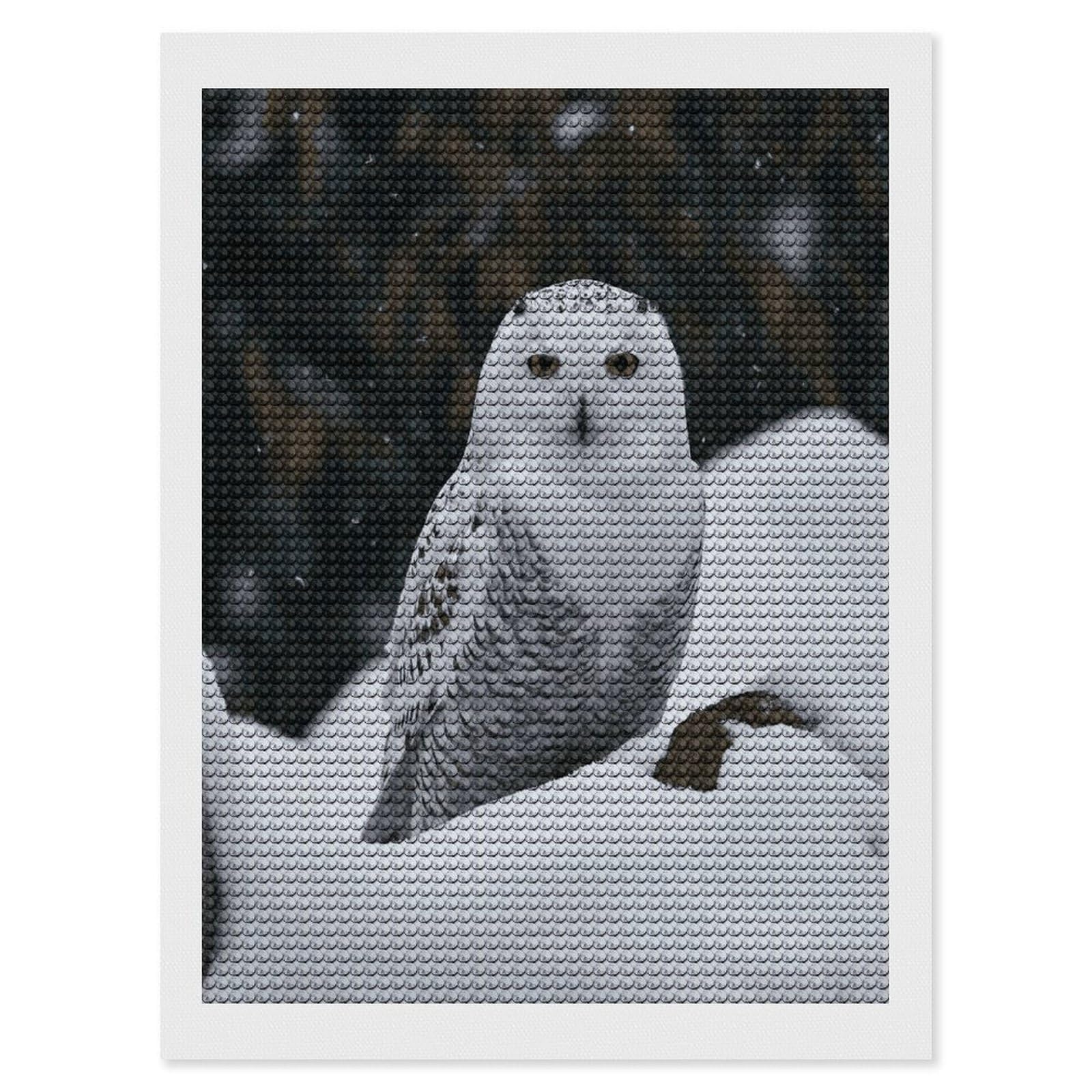 FekiLoot Snow Owl Diamond Painting Kits for Beginners DIY Diamond Art Kits for Adults Full Drill Round Diamond Dot Gem Art Painting Fun DIY Crafts for Home Kitchen Wall Decor Gift 12"x16"
