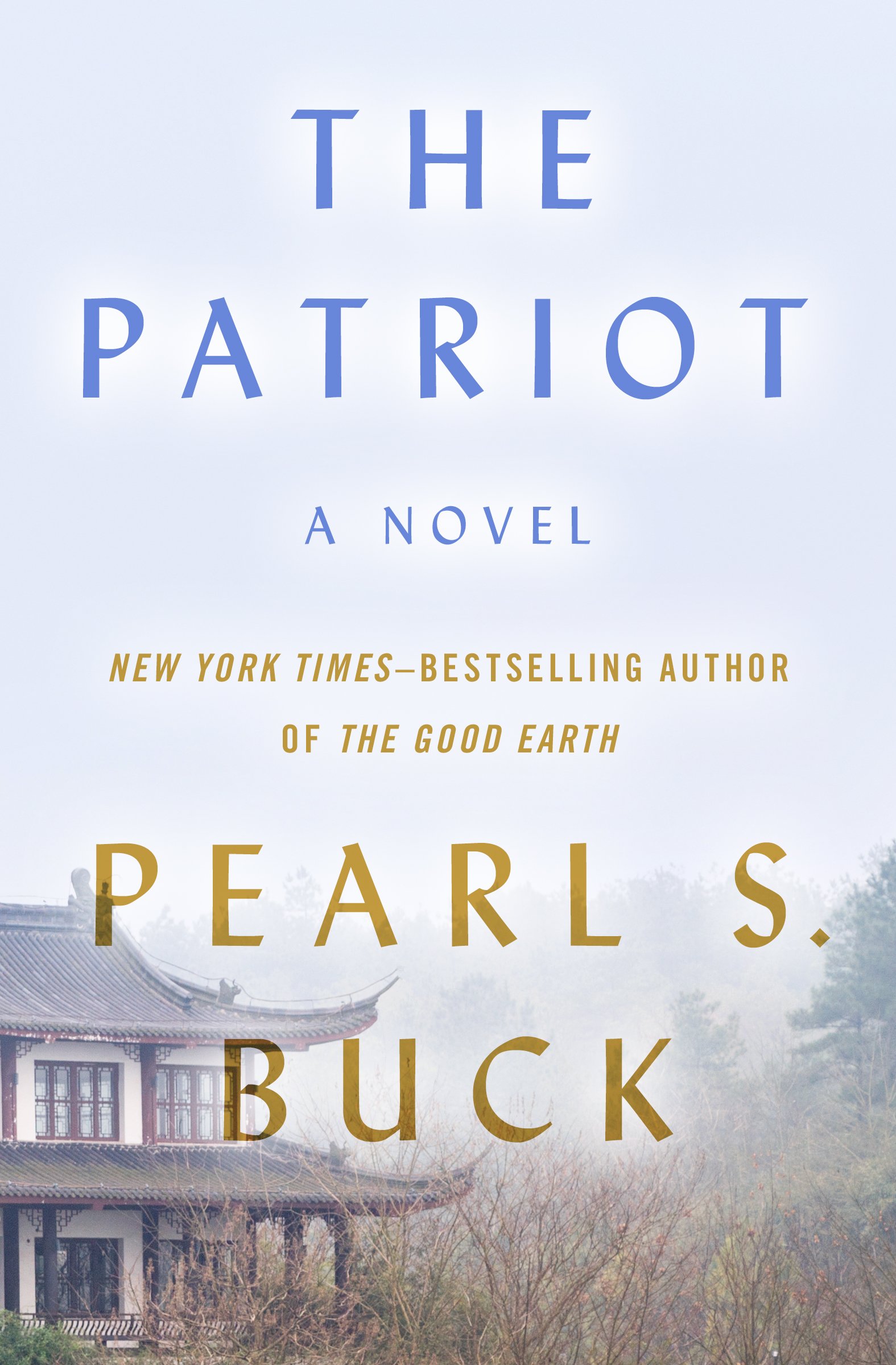 The Patriot: A Novel