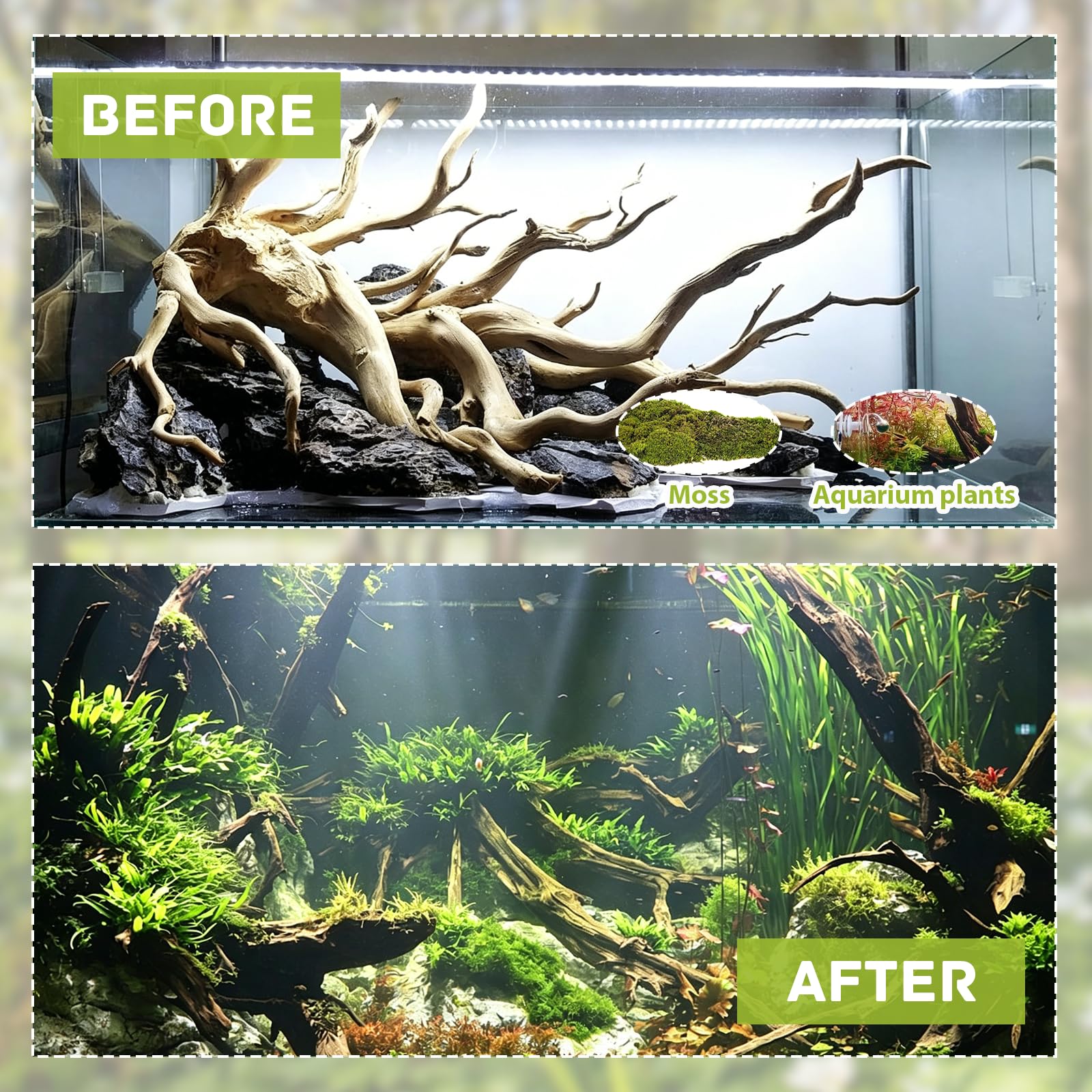4 pezzi radice di muschio, acquario, radice di acquario, legno naturale, decorazione per legni da 10 a 15 cm, forma casuale, piccolo ornamento per aquascaping rettili, decorazione per interni