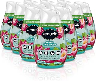Renuzit Adjustable After the Rain Air Freshener Cones, 7oz Solid, Case of 12 - Customizable Freshness for Small Spaces