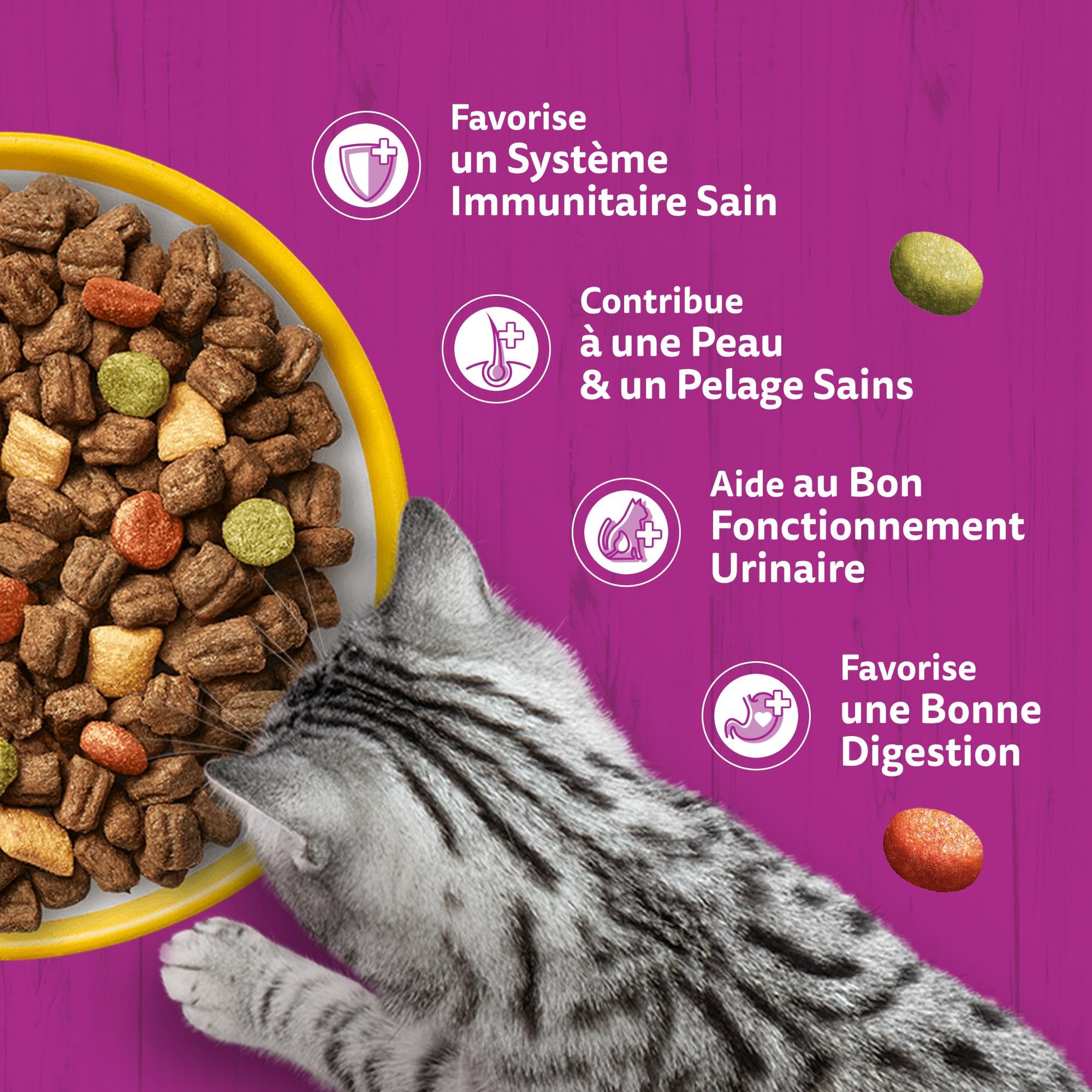 WHISKAS Croquettes pour chat adulte 7 kg au poulet