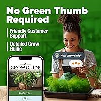 Vista 8 de HOME GROWN Semillas de eneldo sin OMG para plantar 1,014 ramos de semillas de eneldo y semillas de hierbas tradicionales para plantar al aire libre