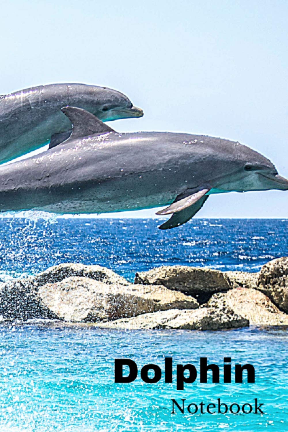 Dolphin: Blank Notebook Journal Planner 6” X 9” 100 pages