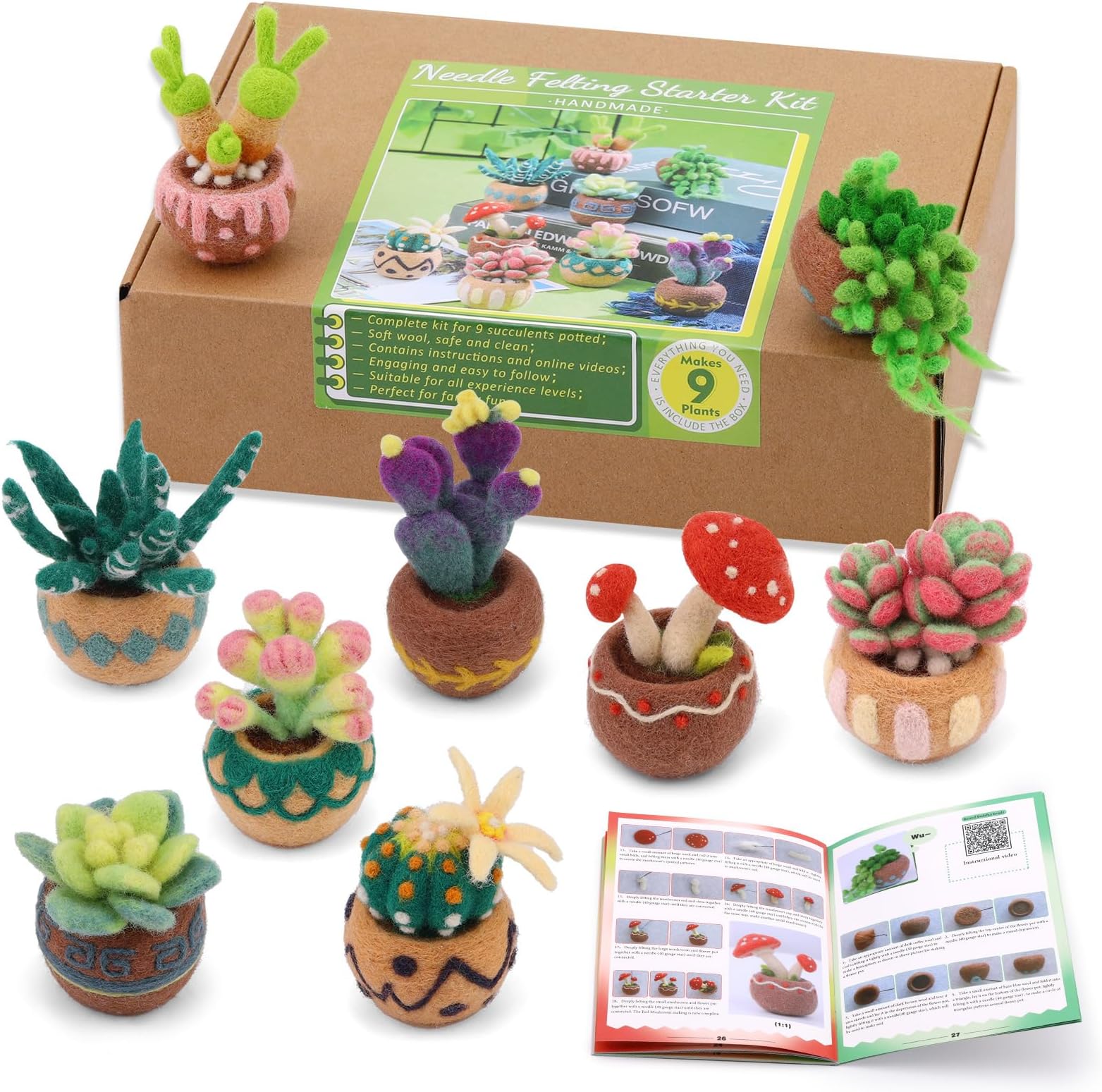 Needle Felting Kit, 9 Pcs Succulent Needle Felt Beginner Kits, Wool Felting Kit Including Wool Roving, Felting Pad, Felting Needles and Instructions for DIY Craft Home Decoration