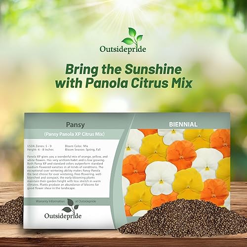 Miniatura 4 de Outsidepride Pansy Panola - Mezcla de cítricos para interiores o exteriores, flores de jardín para camas, macetas y recipientes, 100 semillas