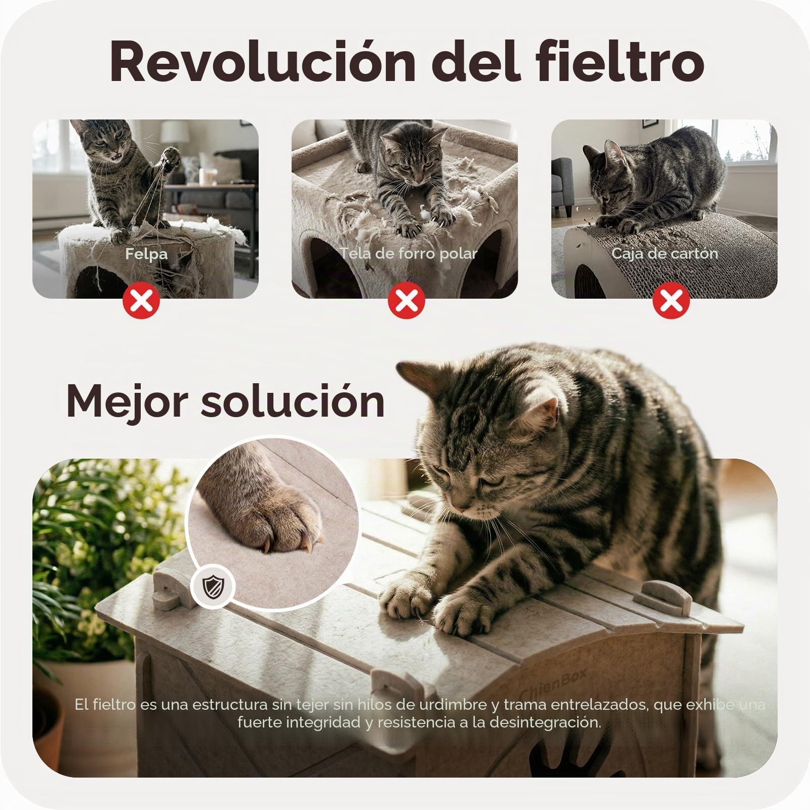 Casa para Gatos Interior de Fieltro: Cálida Cueva para Gatos Invierno, Casa Gatos Robusta, Casa Gato con Entrada Rascadora, Cama para Gatos Fácil de Limpiar y Montar, Cueva Gato 38x36x38cm