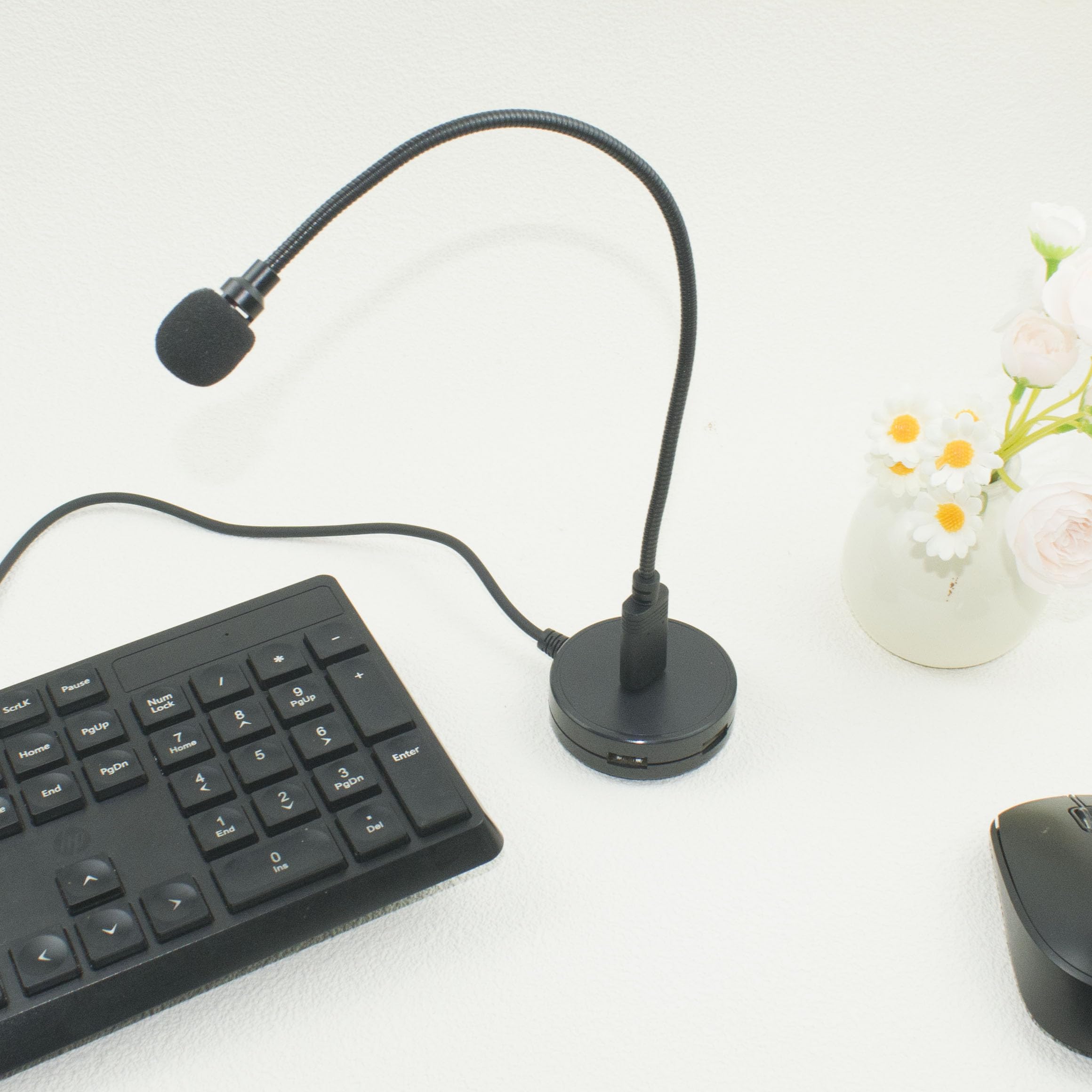 LANDIBO Microfono USB, microfono USB per PC a collo di cigno portatile, mini microfono plug and play, microfono USB esterno per Mac, YouTube, Streaming, podcast, registrazioni, giochi (USB)