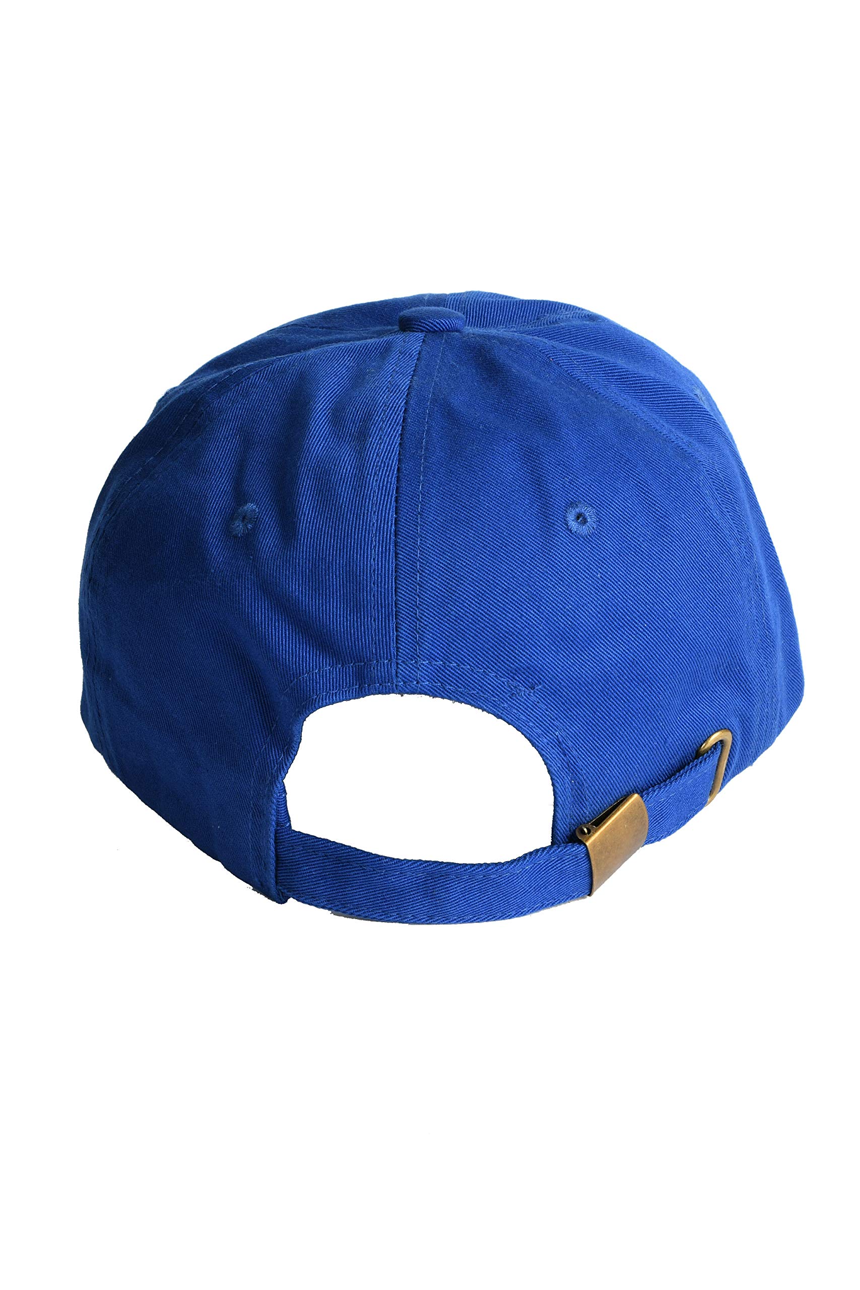 Embroidered President Face with Flag Hat - Adjustable Hat - 2024 presidential hat