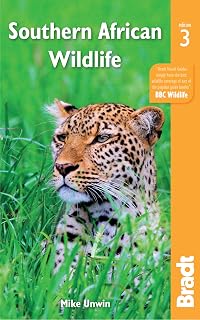 Southern African Wildlife (Bradt)