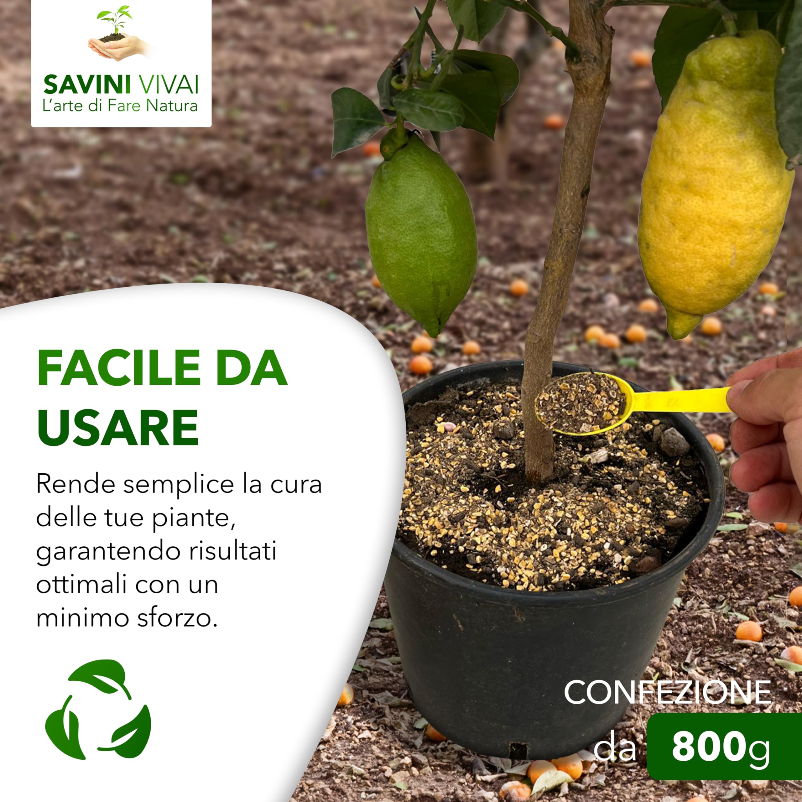 SAVINI VIVAI engrais aux agrumes Super Ground Lupins Engrais organique 4 en 1 pour une production abondante comme les citrons, mandarines, oranges en pot et entièrement moulues, 800g