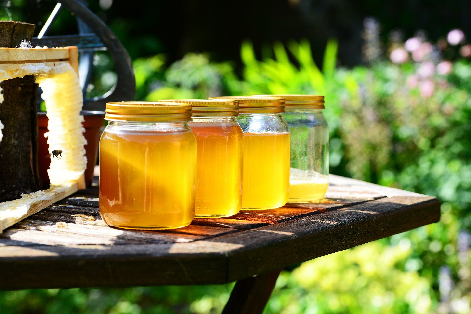 BIO Honig (roh) von ImkerPur, nicht geschleudert oder erhitzt, enthält Blütenpollen, Bienenwachs und andere natürliche Bestandteile (1000 g Roher Honig BIO)