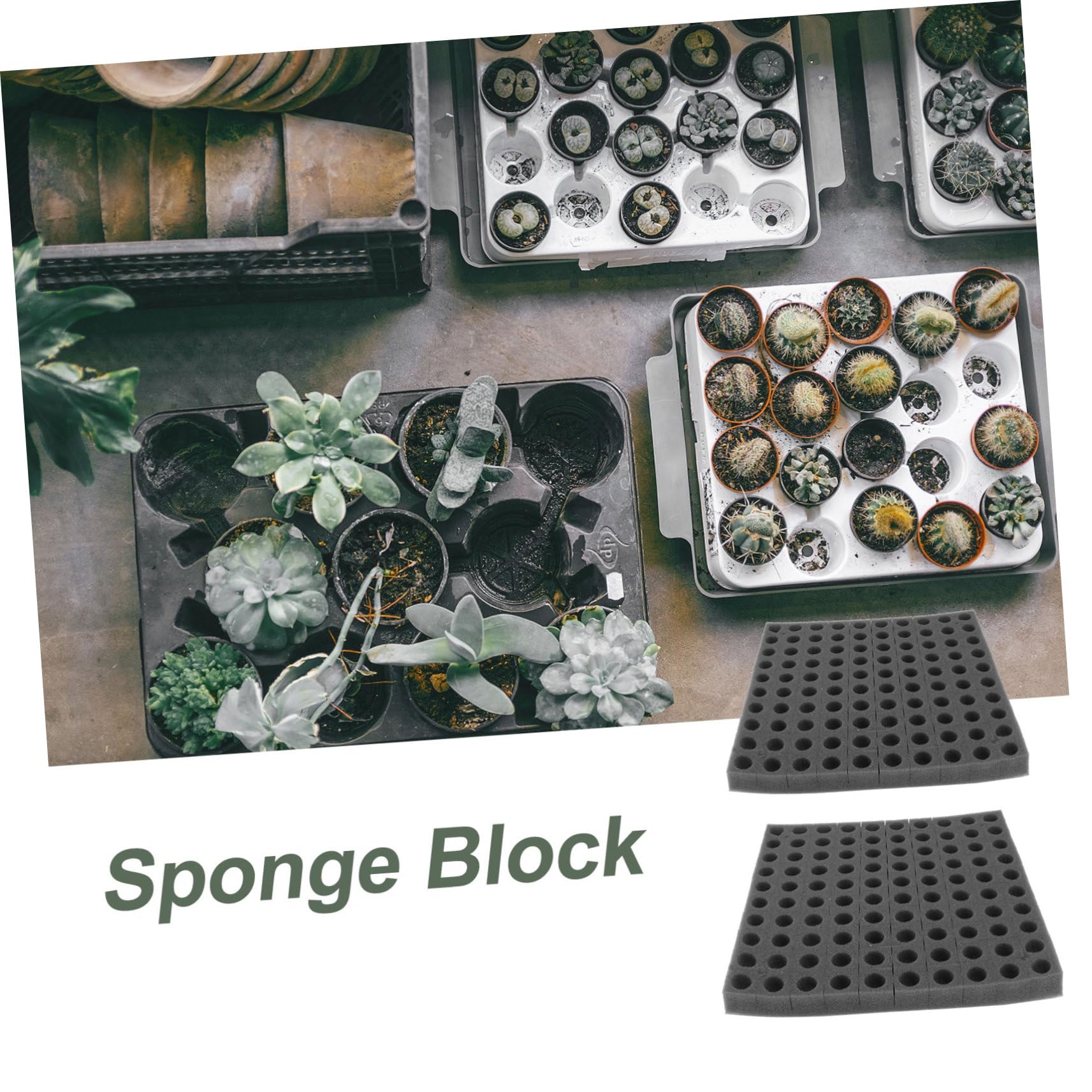 Toddmomy 2 Series Bloque De Esponja para Plántulas Germinación De Plantas De Jardín Bandejas Cubos De Cultivo Iniciador De Plantas Negro Inicio Planta De Semillero Verdura Black 2 Hojas*2