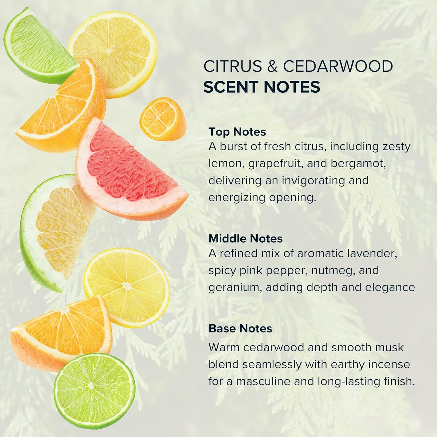 Anthology Woody Citrus Perfume Oil roll on 0.3 oz 9ml | Citrus, Cedarwood, Amber | Travel size rollerball - Image 4