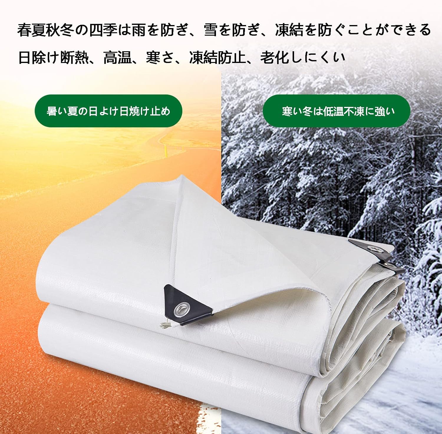 平成レトロ カミオジャパン はむすたあももたん ハムスター Wリングメモ