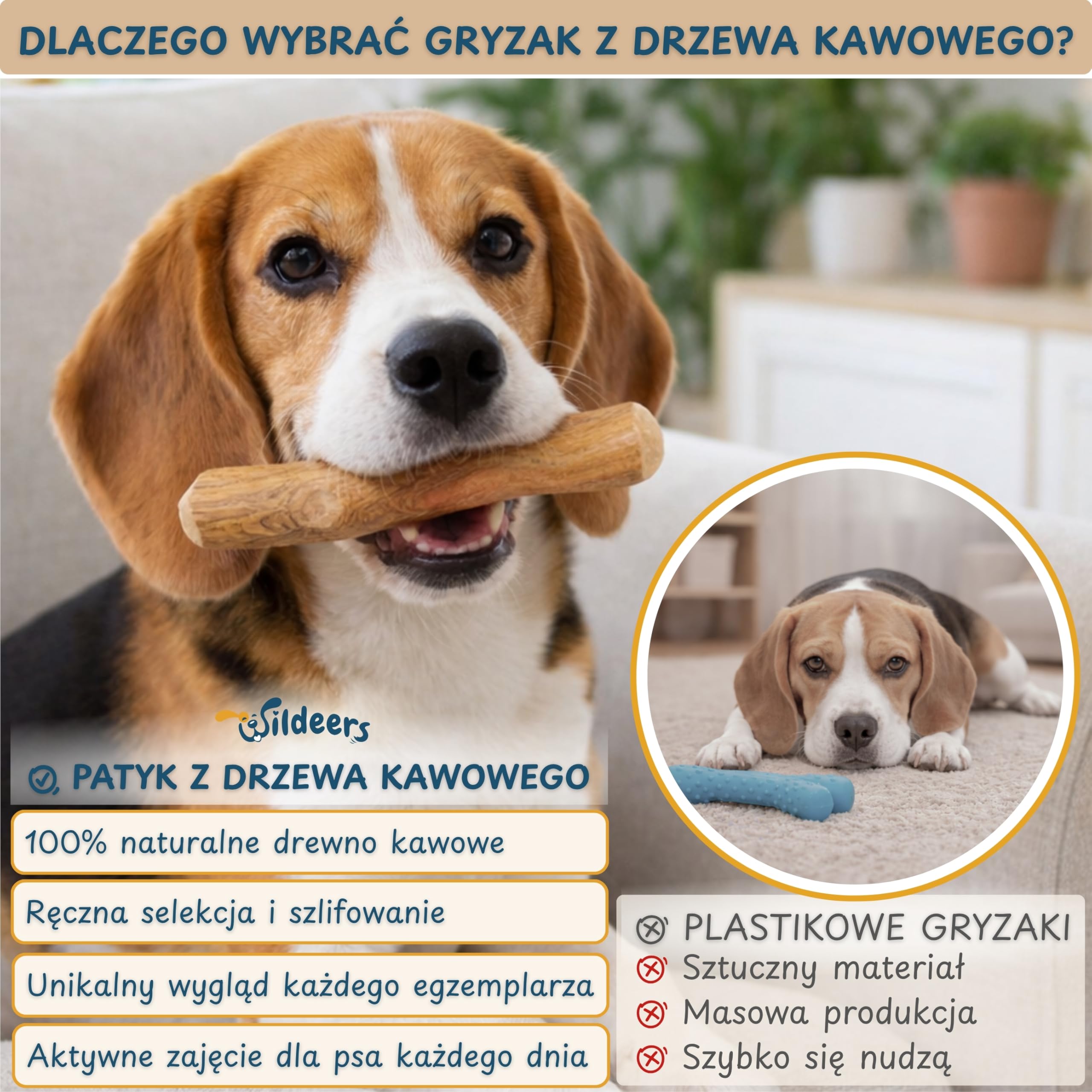 Wildeers Patyk z Drzewa Kawowego, Naturalny Gryzak dla Psa M, 3 szt. | 15-17 cm, Twardy Wytrzymały Gryzak dla Małych i Średnich Psów do 10 kg, Zajęcie dla Psa, Bez Toksyn