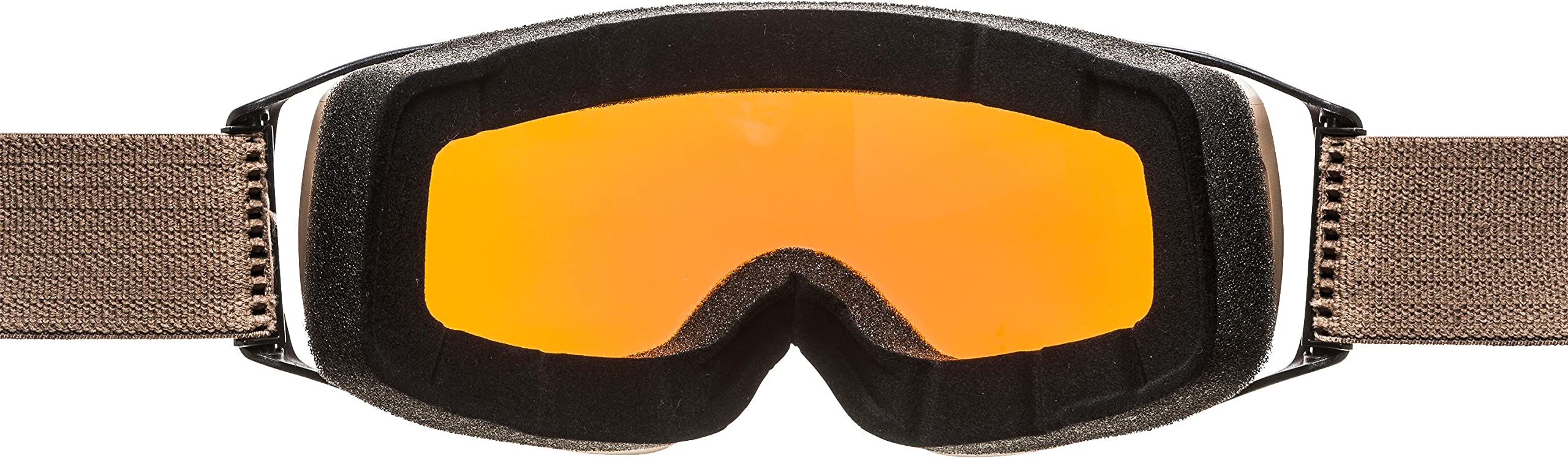 Alpina Unisex Double Jack Plnt Q-lite ski goggles (pack of 1)