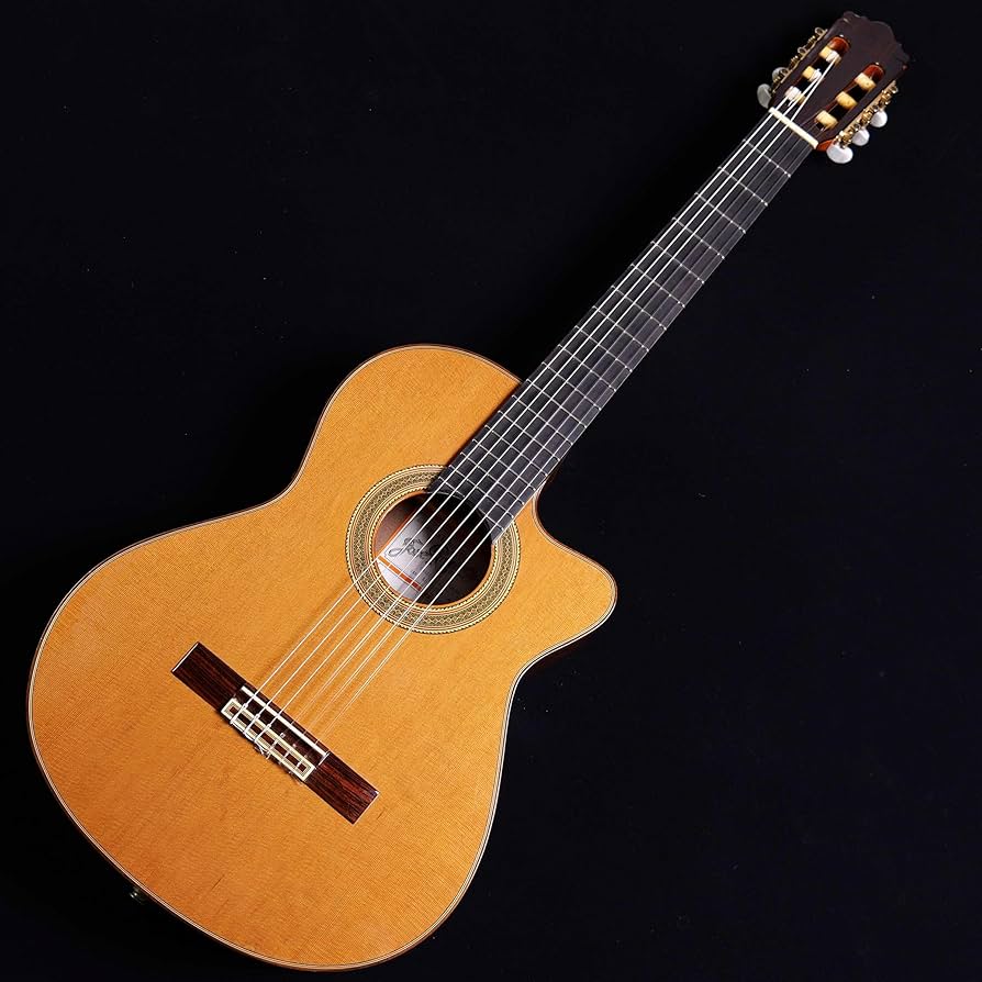 Amazon | Jose Ramirez 2N-CWE 2011 クラシックギター