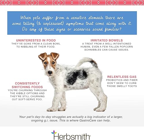 Miniatura 4 de Herbsmith GastroCare - Para gatos y perros con estómagos sensibles - Soporte digestivo para gatos y perros - Alivia el estómago sensible canino y