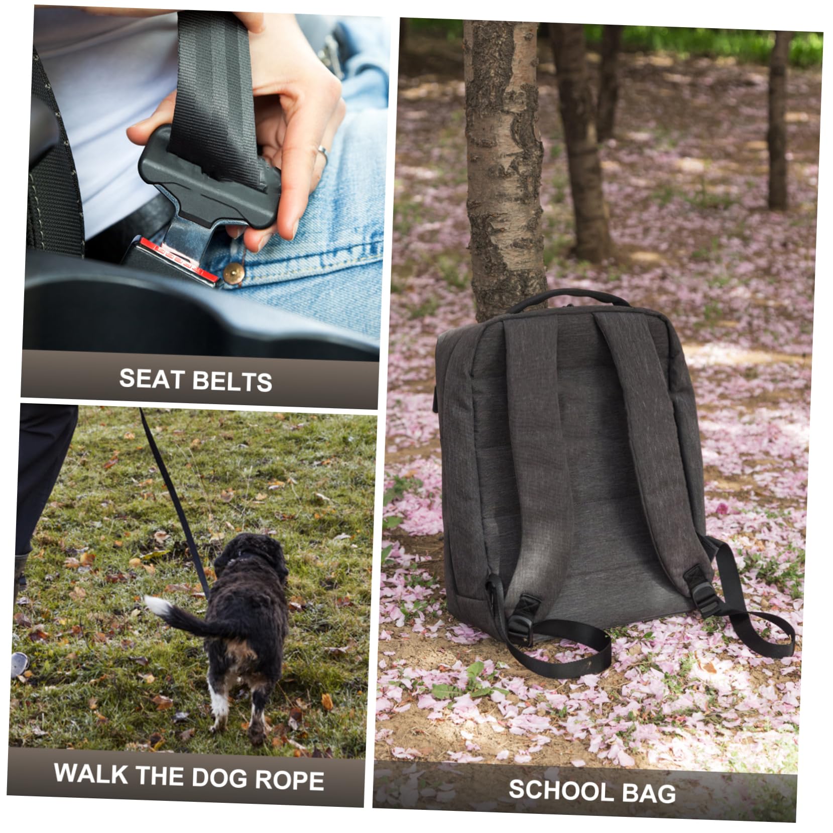 PACKOVE Fettuccia in Nylon 1 Pollice 50m, Alta Resistenza e Protezione UV, Resistente all’Usura per Carichi, attività Indoor e Outdoor | Tessitura Piatta Resistente ai Raggi Uv, per Zaini e Guinzagli, Uso Camping e Crafts