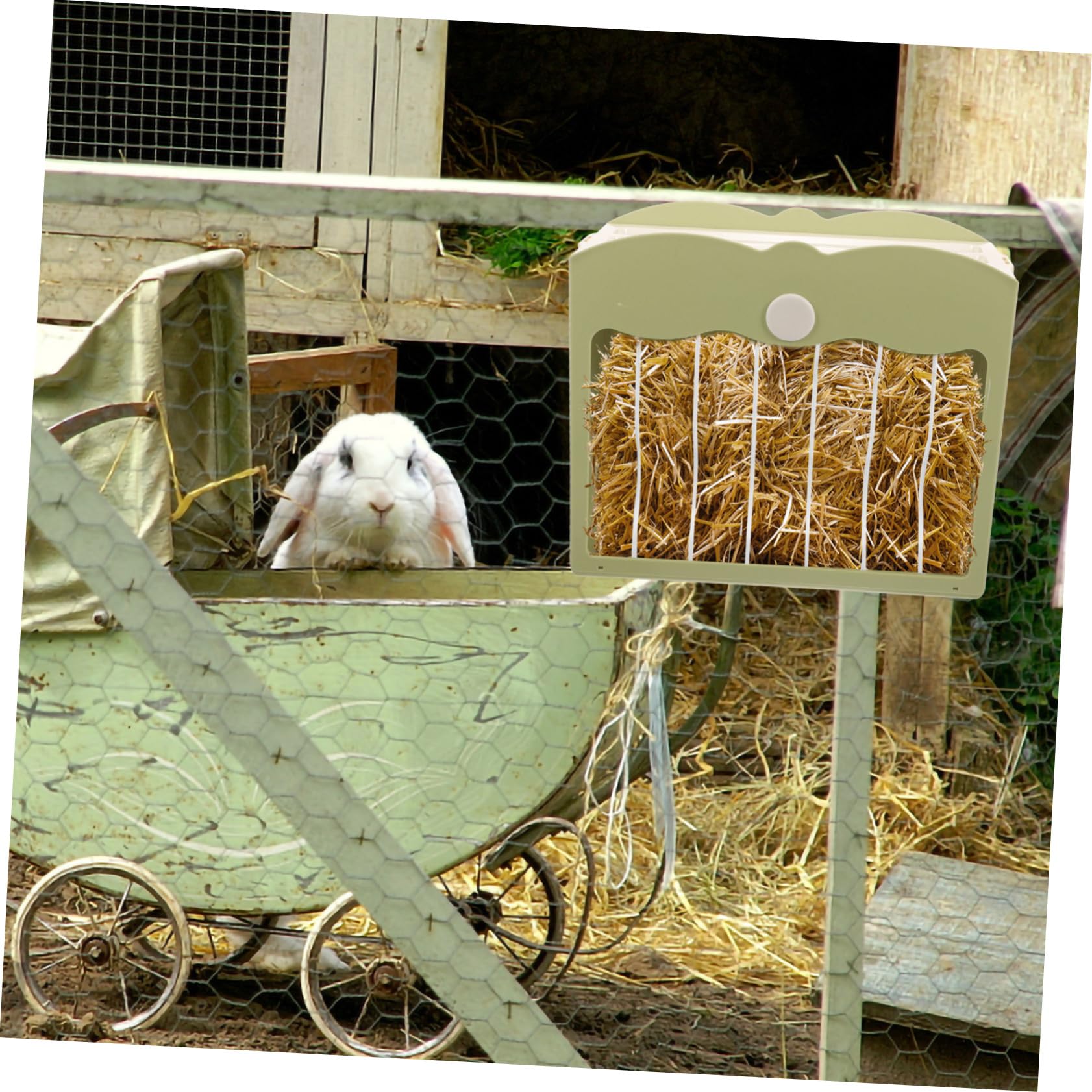 Râtelier à Foin Suspendu pour Lapin et Hamster, Plastique Vert Clair