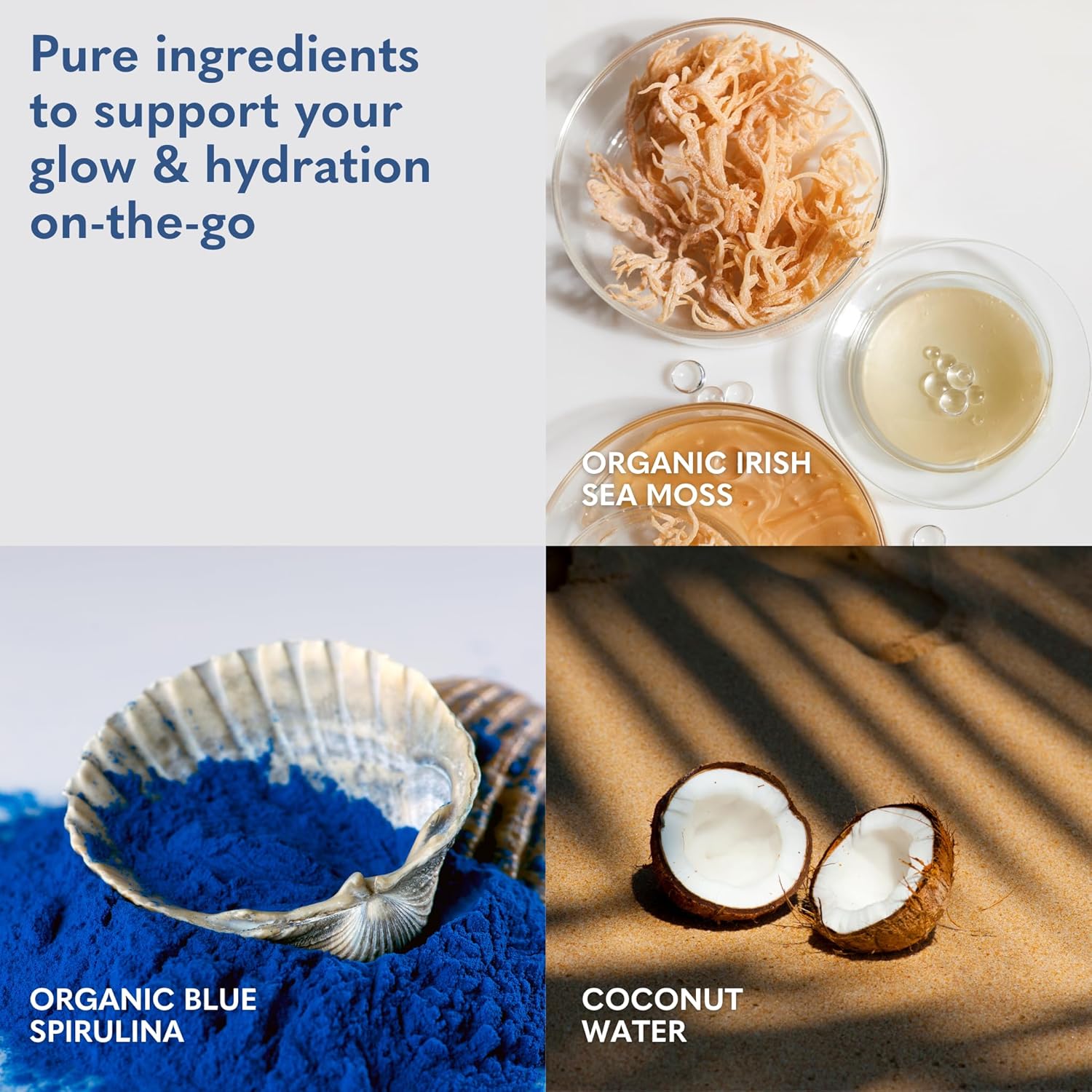 Copina Co. Irish Sea Moss Powder Drink - Super Berry with Organic Blue Spirulina - 200mg Organic Sea Moss for Gut & Skin Health, Immunity - Natural Electrolytes I 16 Stick Packs - Image 5