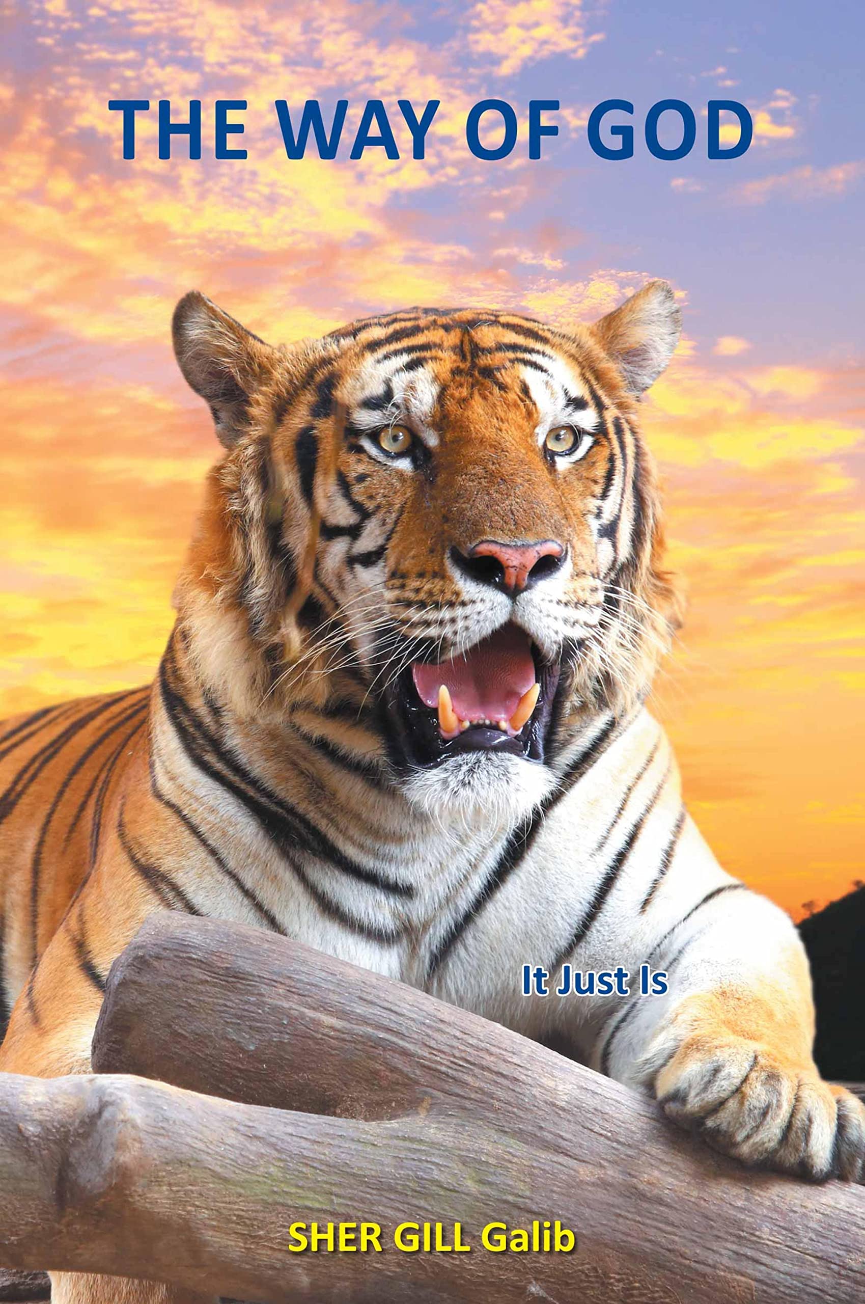 The Way of God: It Just Is