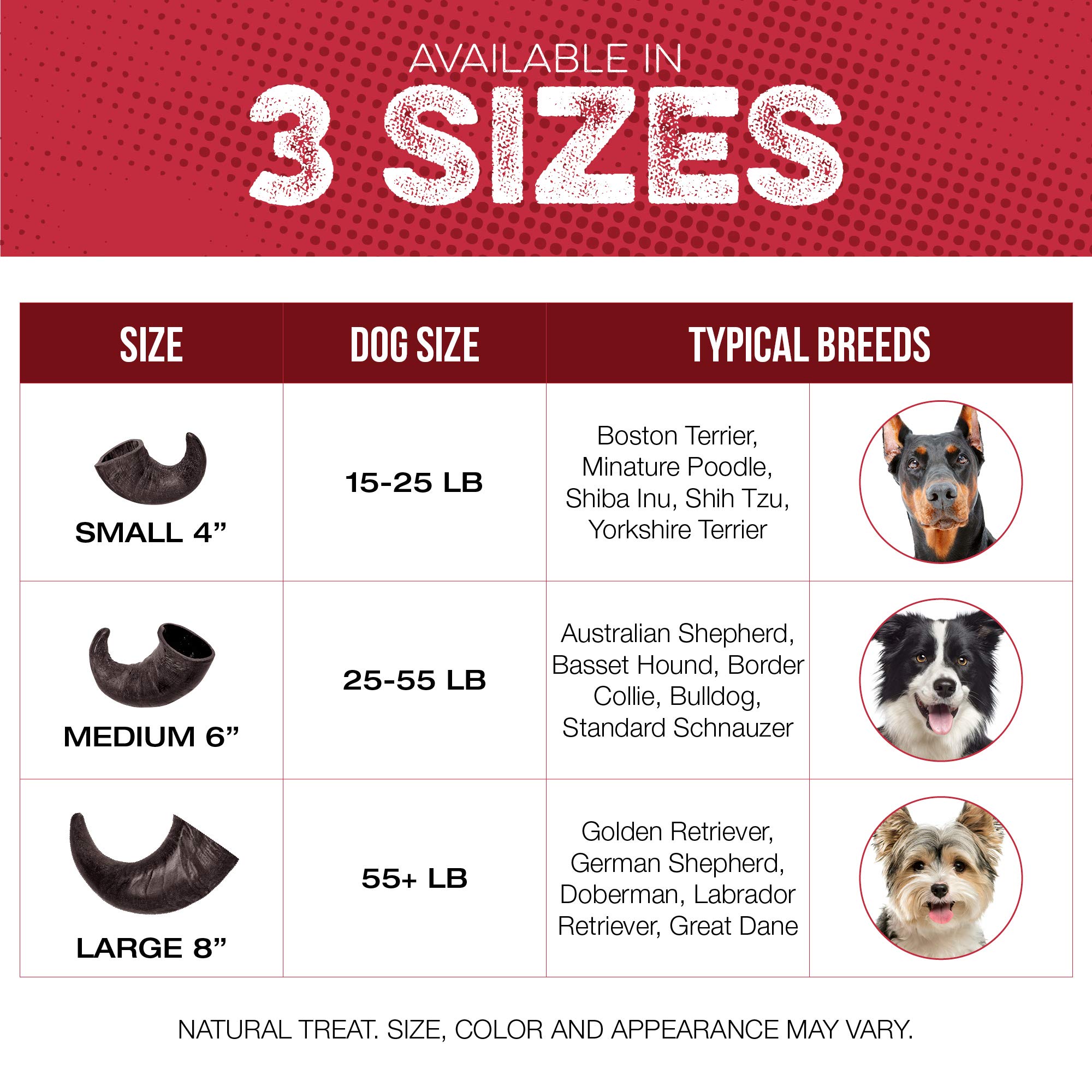 Fang & Claw - Cuernos de búfalo para perros (4 unidades, diferentes tamaños), alimentados con hierba de una sola fuente de proteína, sin productos químicos, aditivos, hormonas, larga duración de