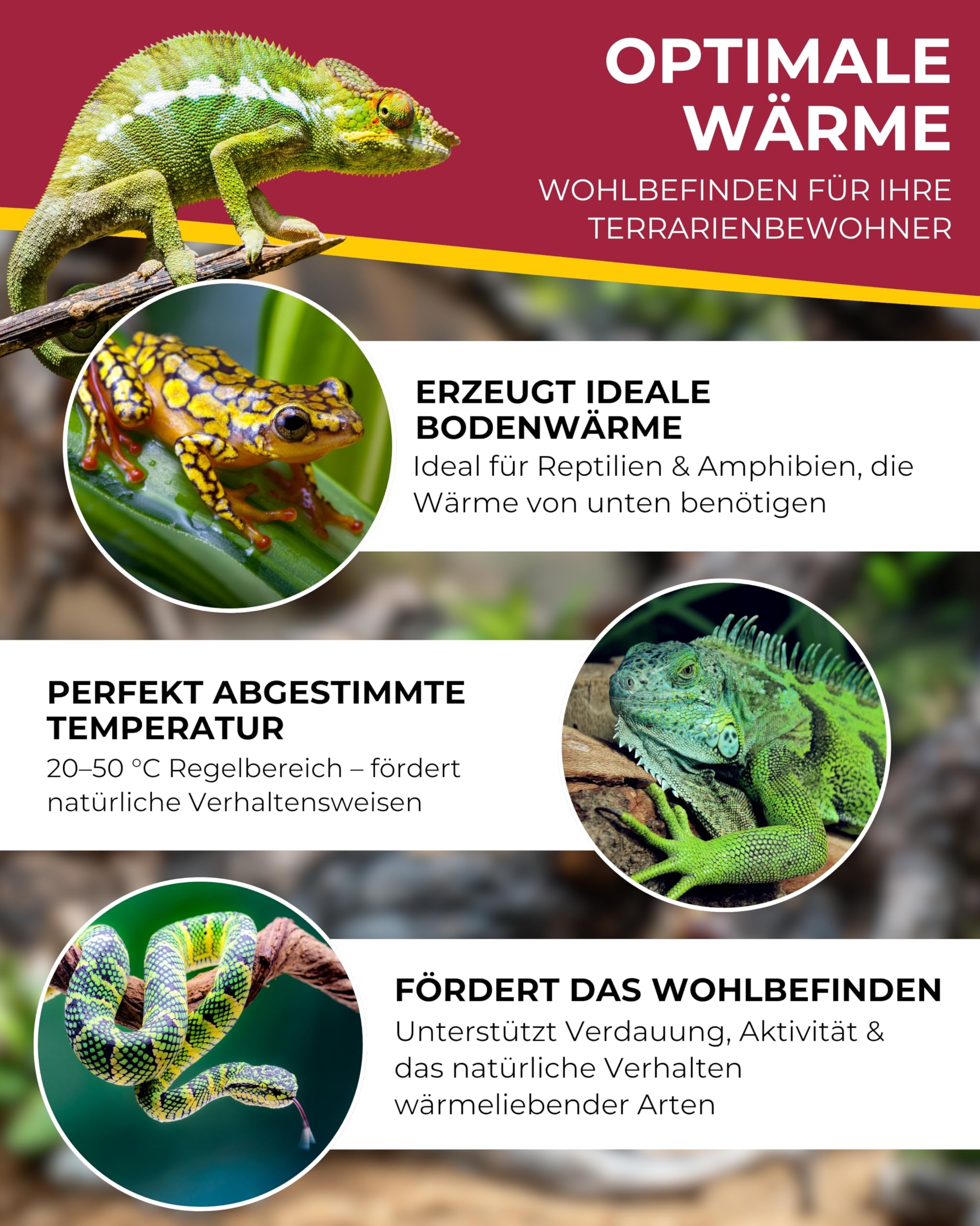 HOBBY Terraristik Thermica Control 6 W I Heizmatte mit Temperaturregler & Sensor I Einstellbar 20-50 °C I Zubehör für Terrarien & Gewächshäuser