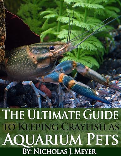 The Ultimate Guide to Keeping Crayfish as Aquarium Pets