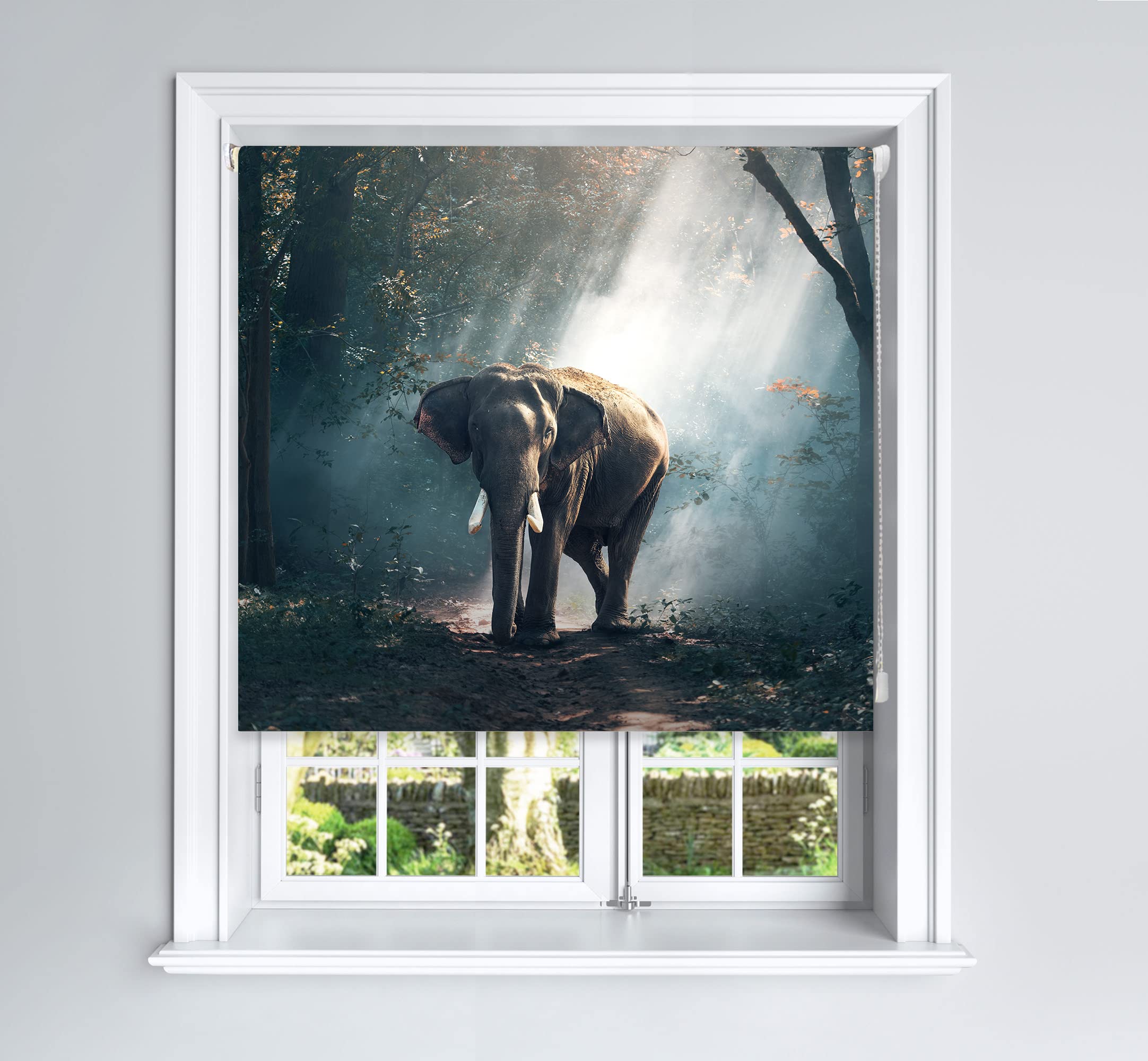 Lister Cartwright Photographic Blackout Roller Blind - (150 x 140 cm) Printed Colourful Roller Blind Easy Fit Window Blind with Child Safety - Bedroom Bathroom Kitchen & Living Room - Elephant
