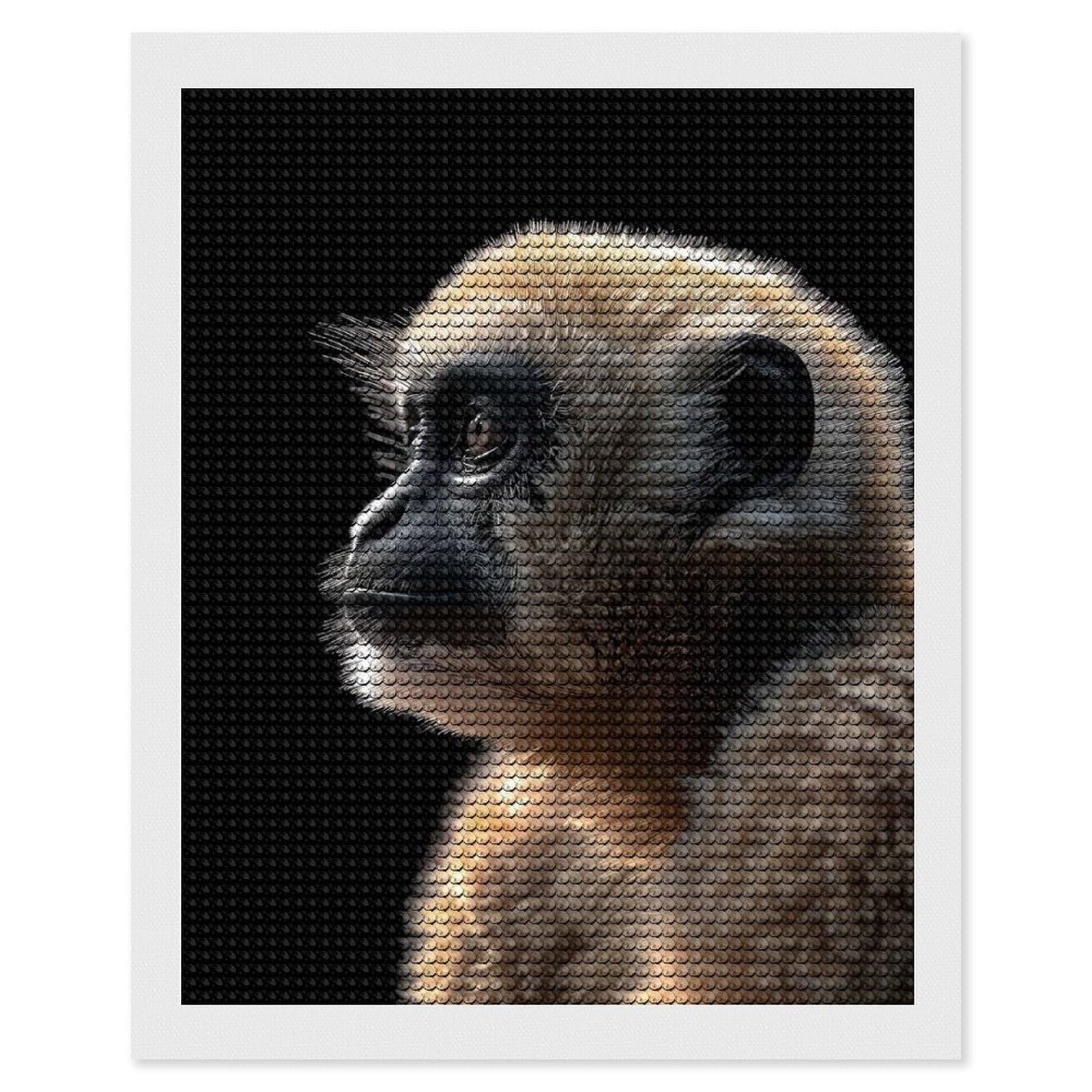 Junmoney Gibbon Diamond Painting Canvas Set 16"x20", for Beginners, Complete Accessories, Christmas Gift, Modern Decor