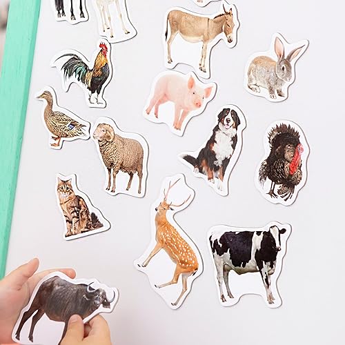 Miniatura 8 de 85 imanes de animales para niños en caja de lata de regalo, animales magnéticos para refrigerador de niños pequeños