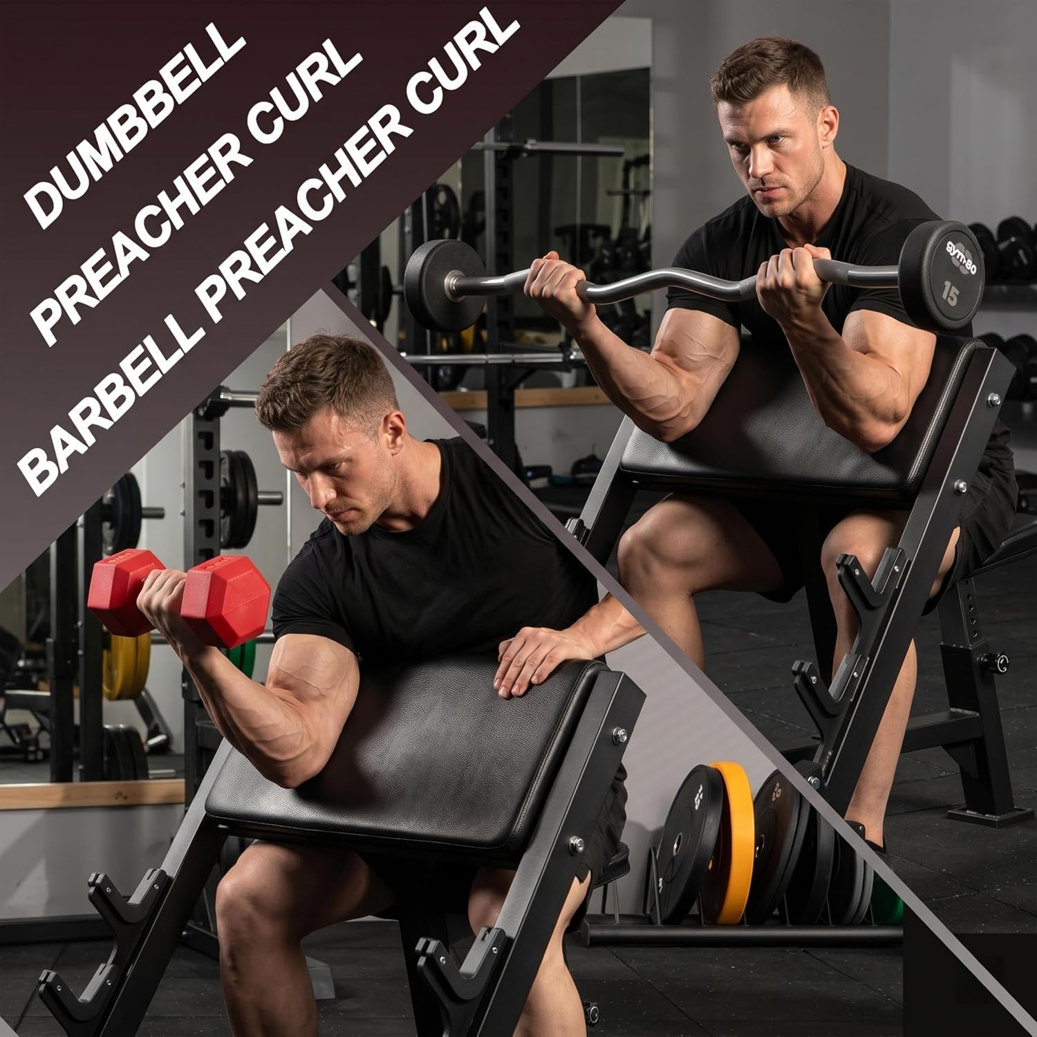 LING- O FITNESS Pro Preacher Curl Bench: Bicep Tricep Curl Machine & Seated Dumbbell/Barbell Curls, Arm Curl equipment Compact Home Gym Design